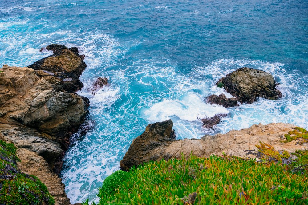 Ocean waves crash on rocky coastline with green coastal plants