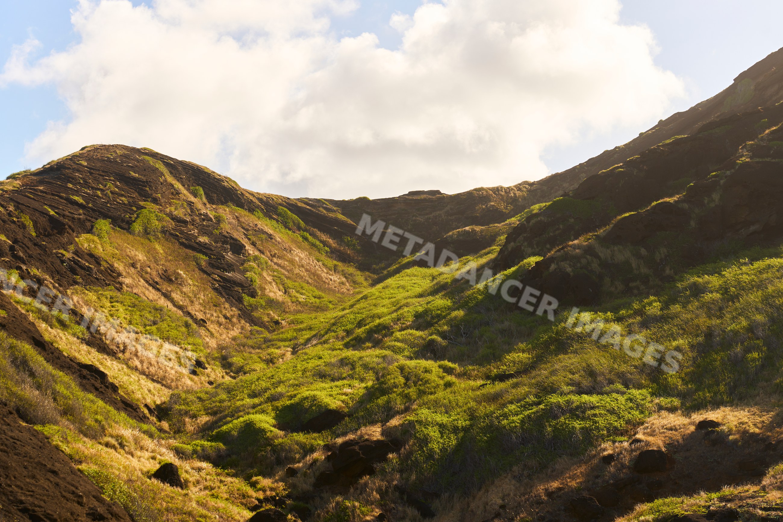 Mountain slope with grassy vegetation and volcanic rocks on oahu