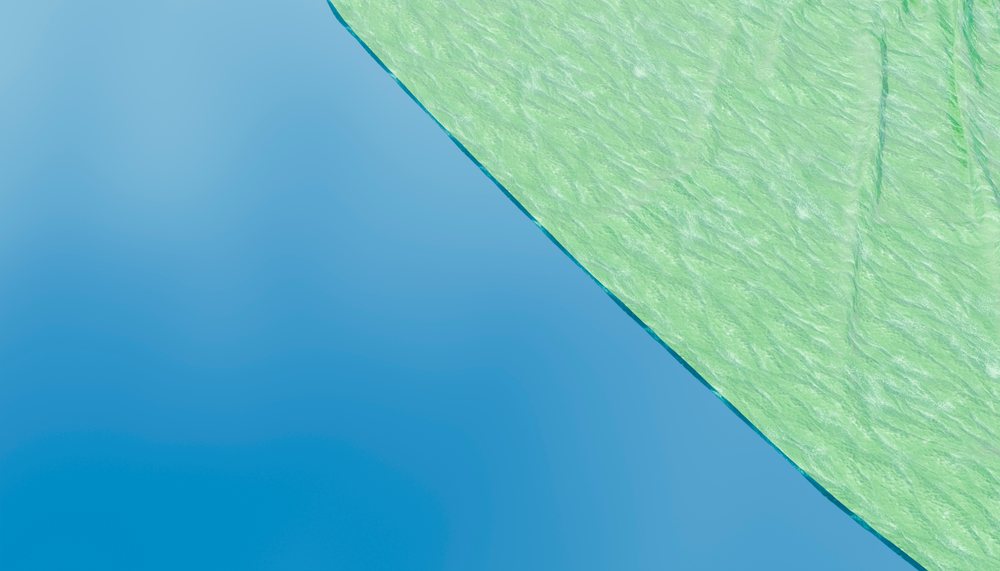 Close-up image highlighting the detailed texture of a green leaf