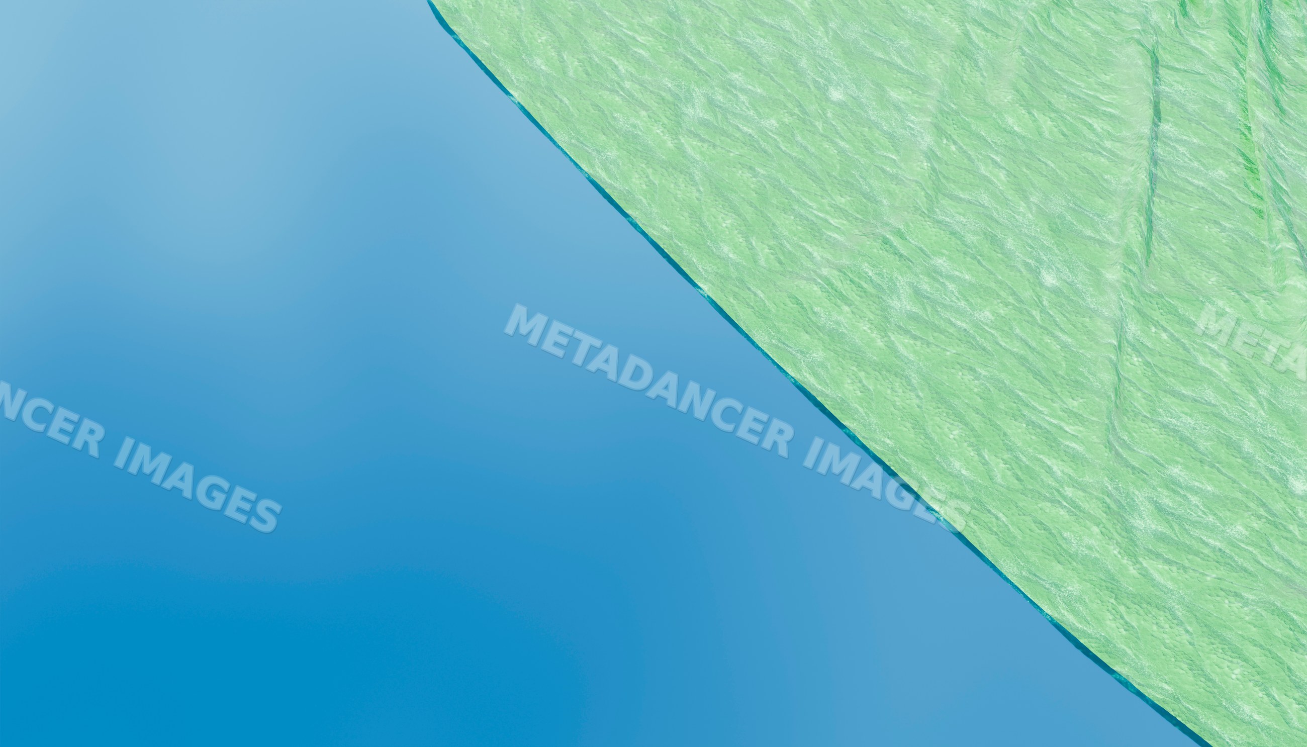 Close-up image highlighting the detailed texture of a green leaf