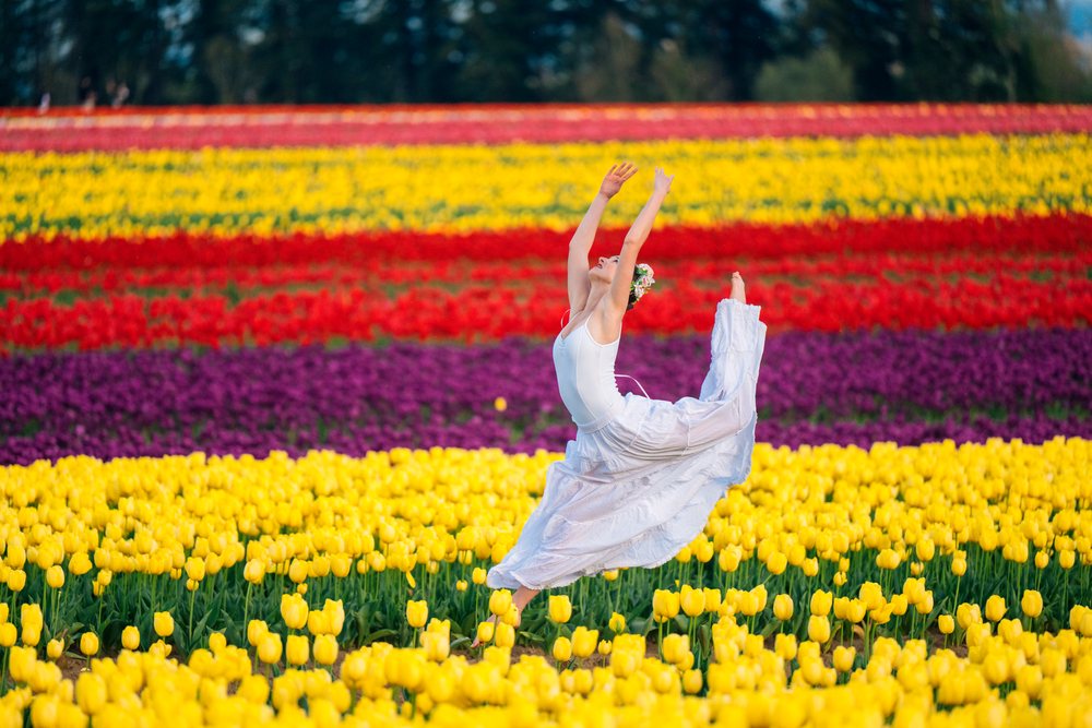 Ballet white dancer leaping in flower field of colorful tulips