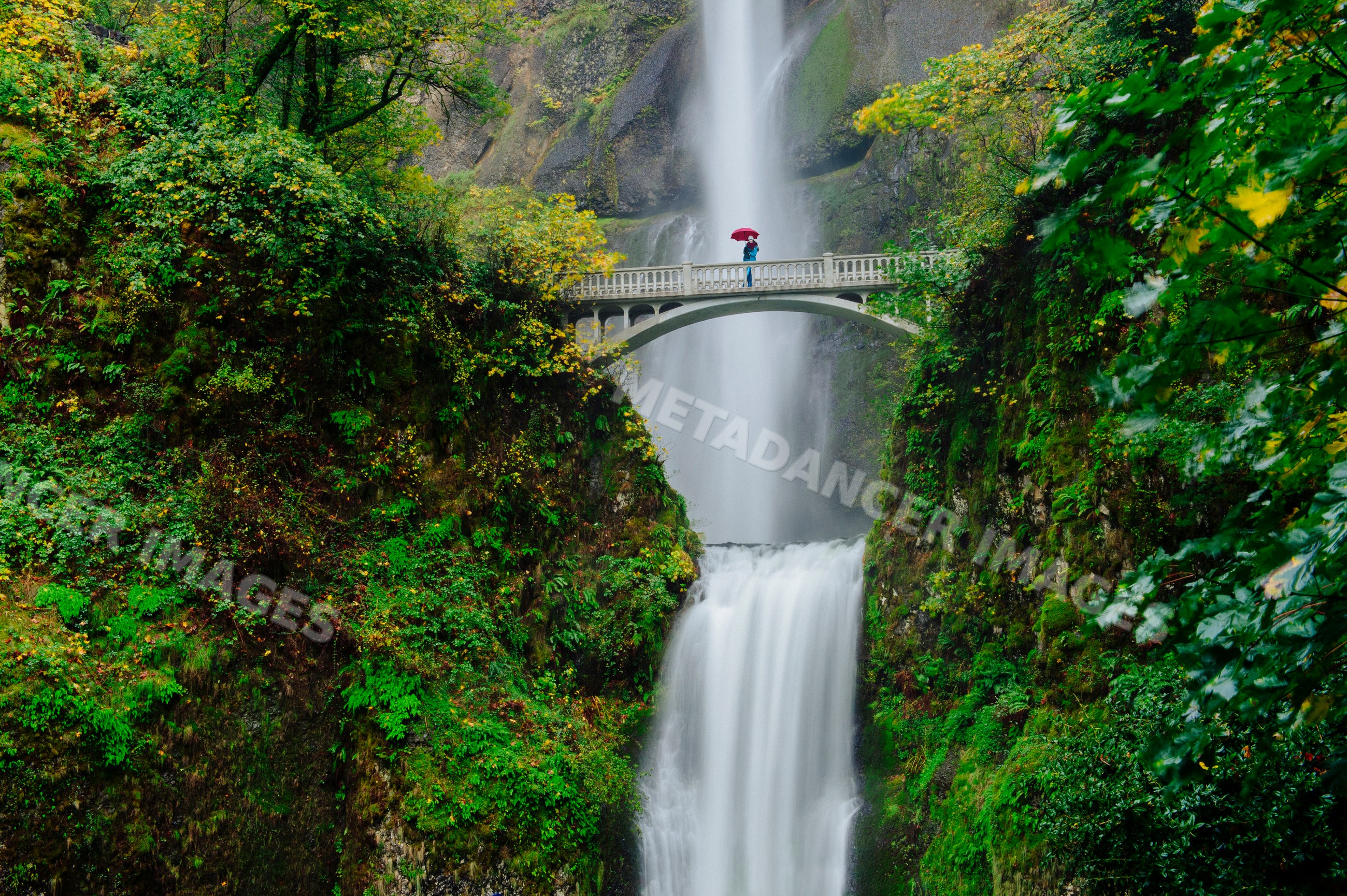 White person on bridge at multnomah falls amid lush foliage