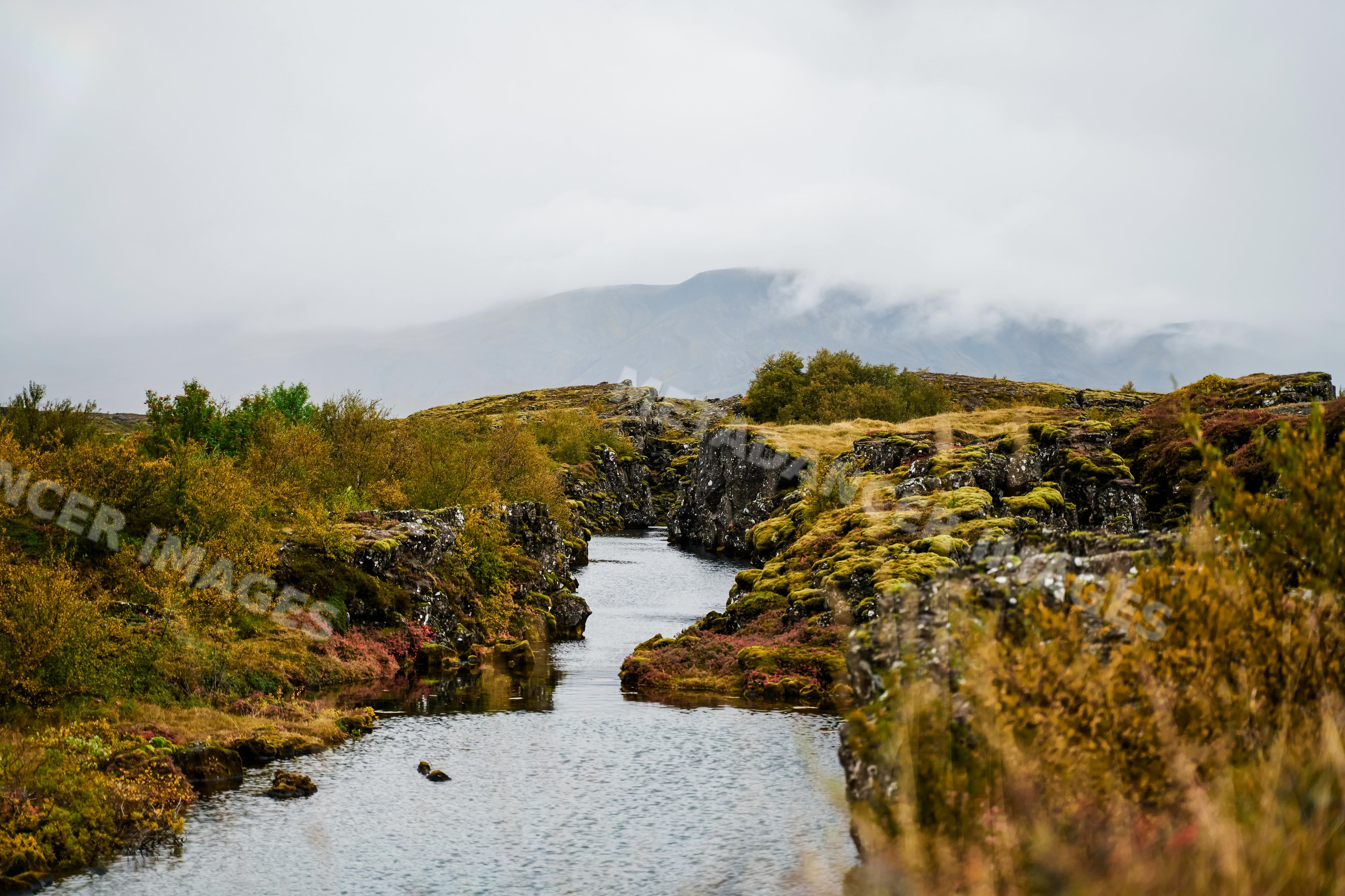 A serene stream flows through mossy rocks and autumn foliage