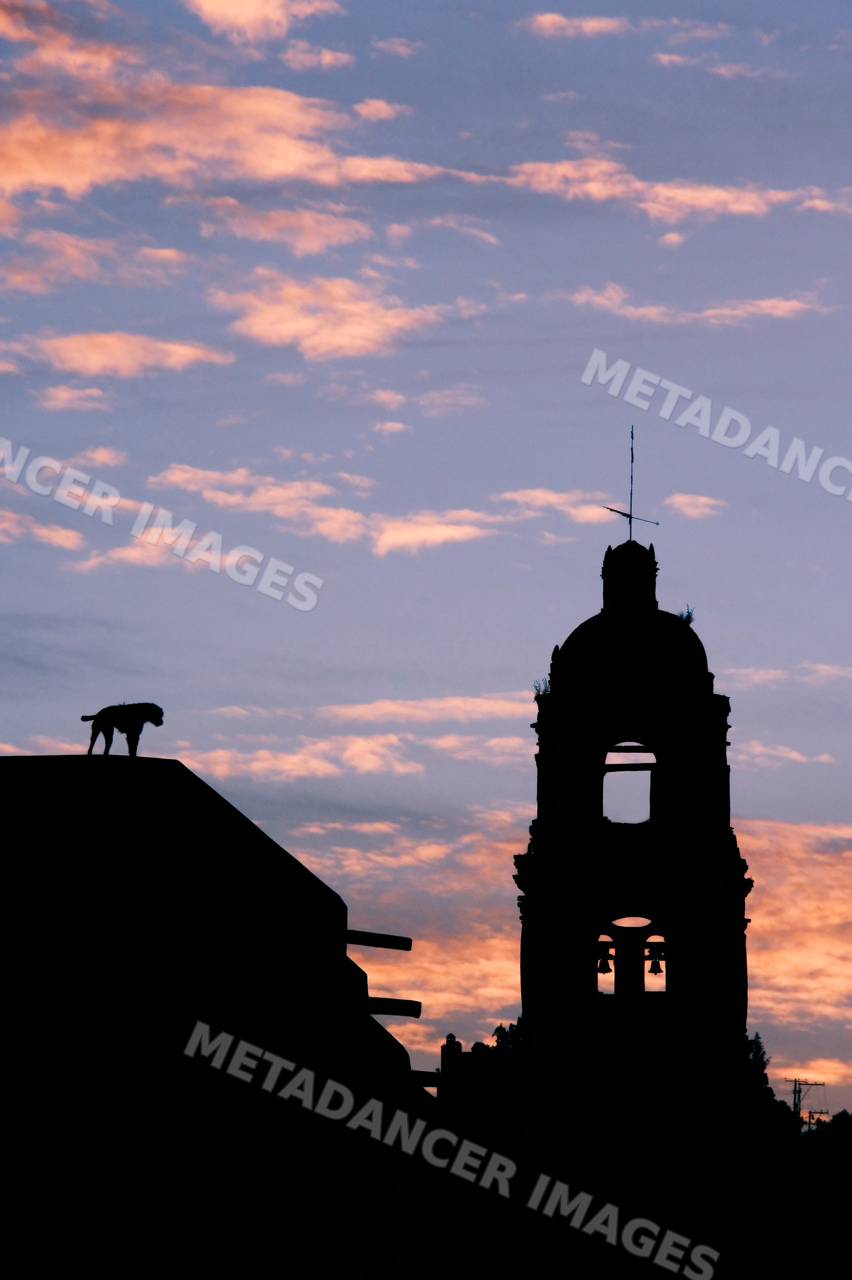 Silhouetted dog and church bell tower at sunset mexico