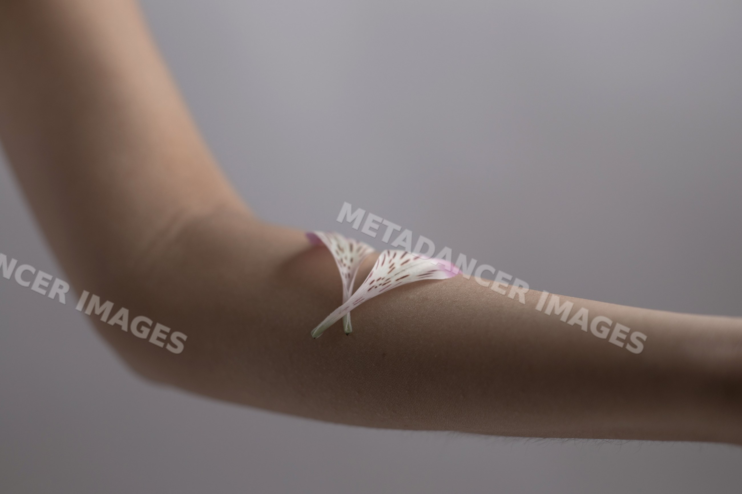 Flower petals resting delicately on an arm