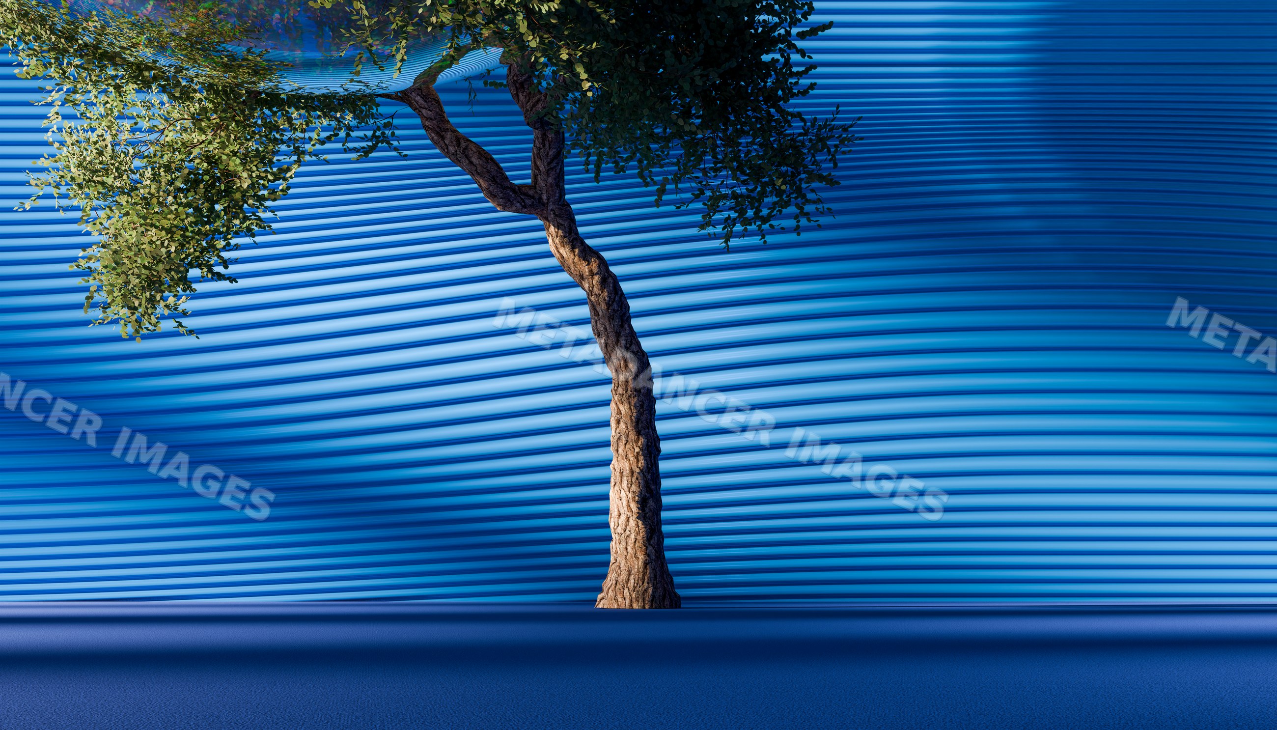 A tree with curved trunk casts shadows against a rippling blue wall