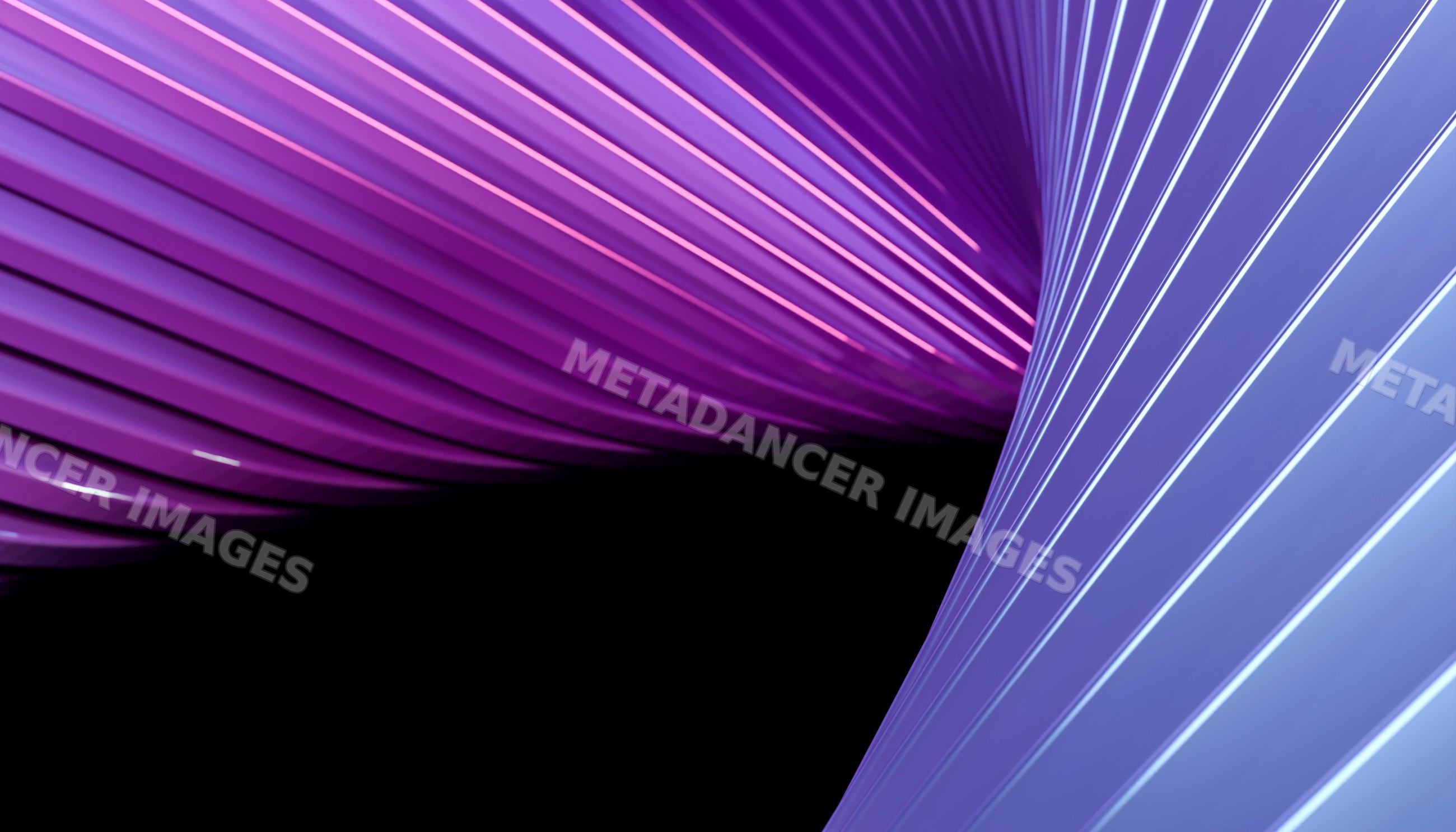 Abstract purple and blue flowing curved lines on black background