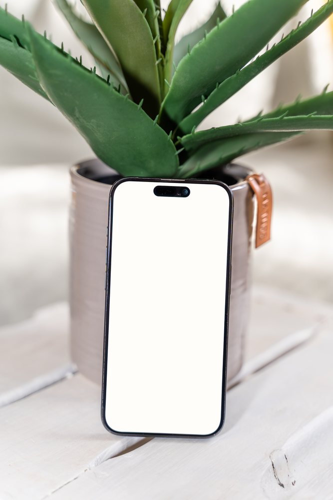 Smartphone with blank screen beside potted plant on wooden table