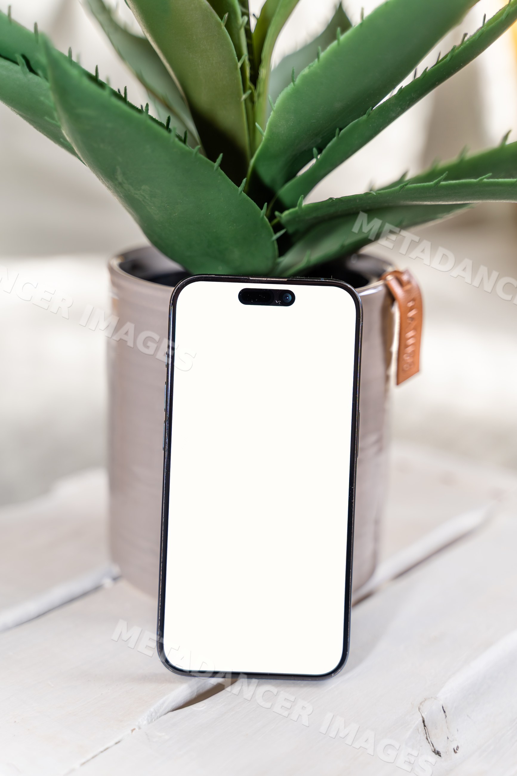 Smartphone with blank screen beside potted plant on wooden table