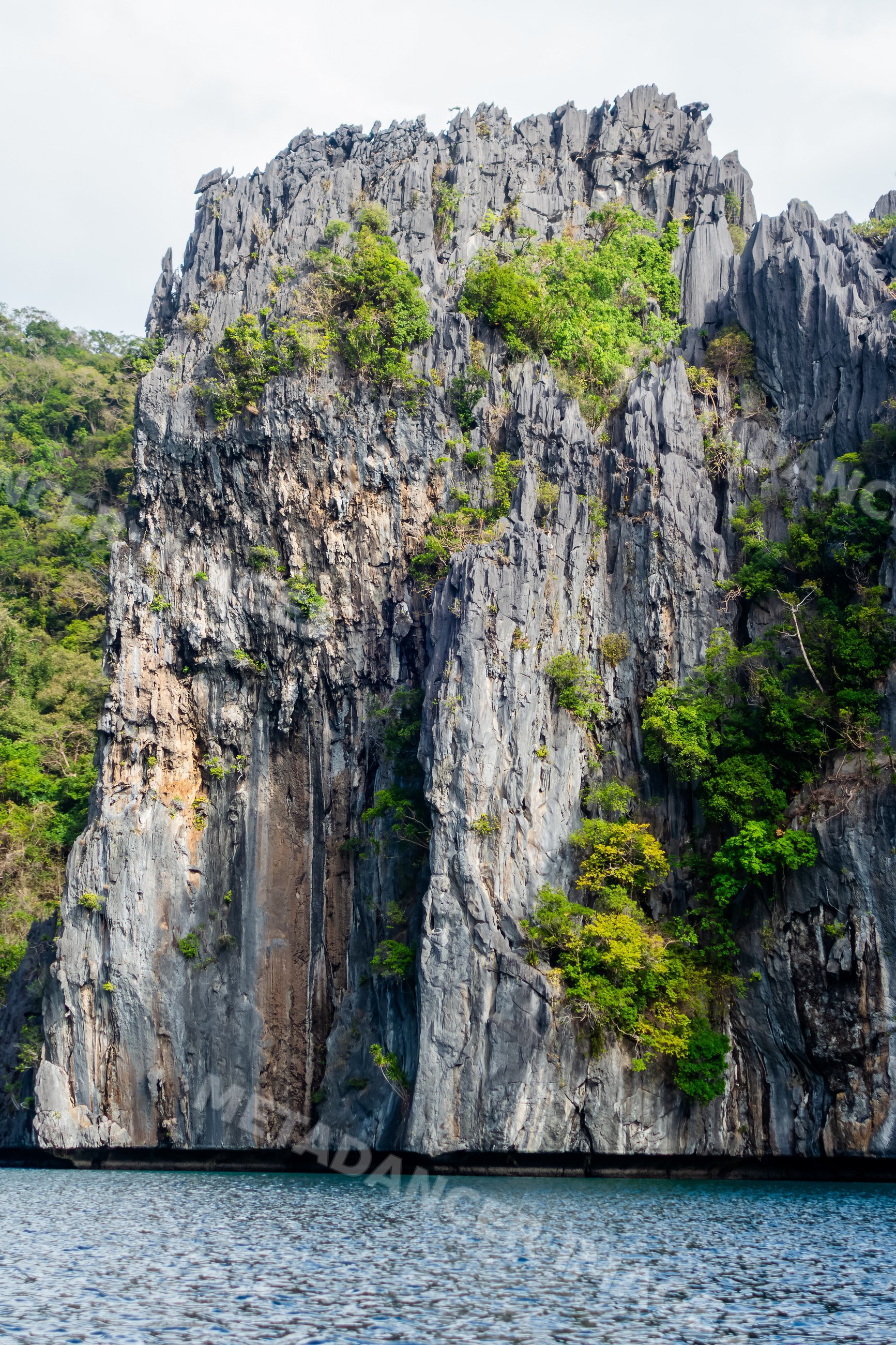 Limestone cliff with tropical vegetation rising from sea