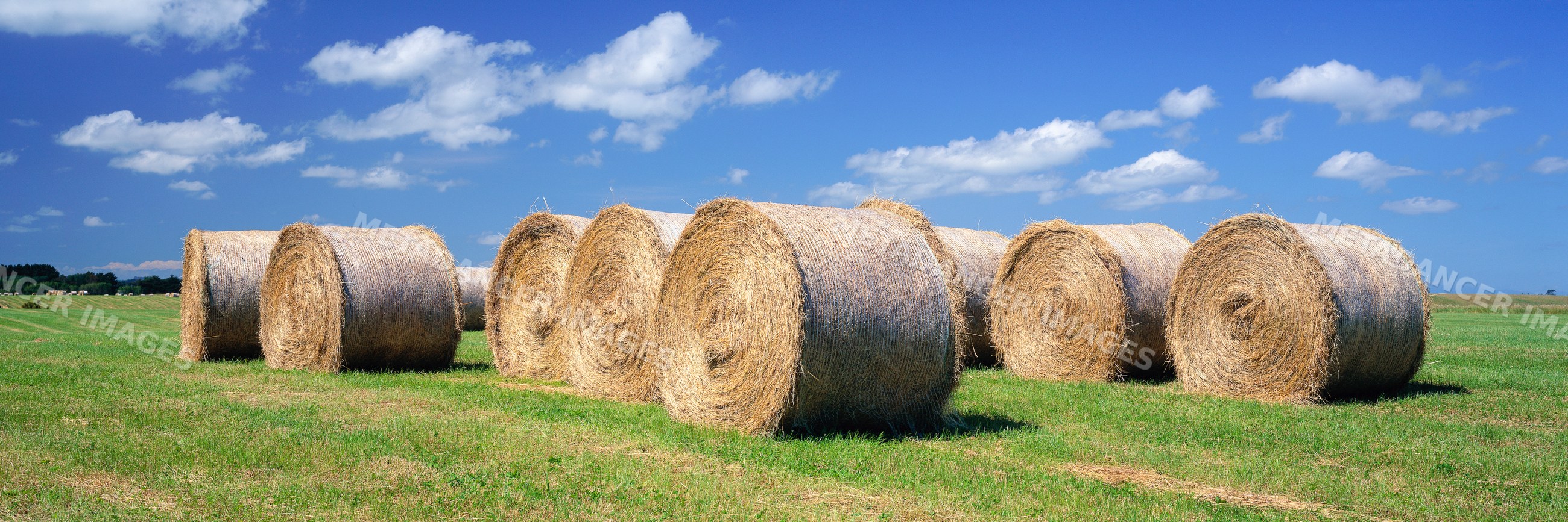 Hay bales in a rural field under blue sky