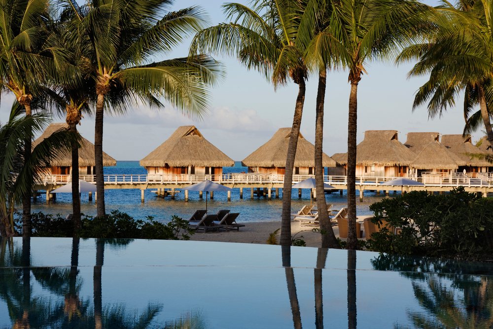 Swimming pool reflecting palm trees beside thatched overwater