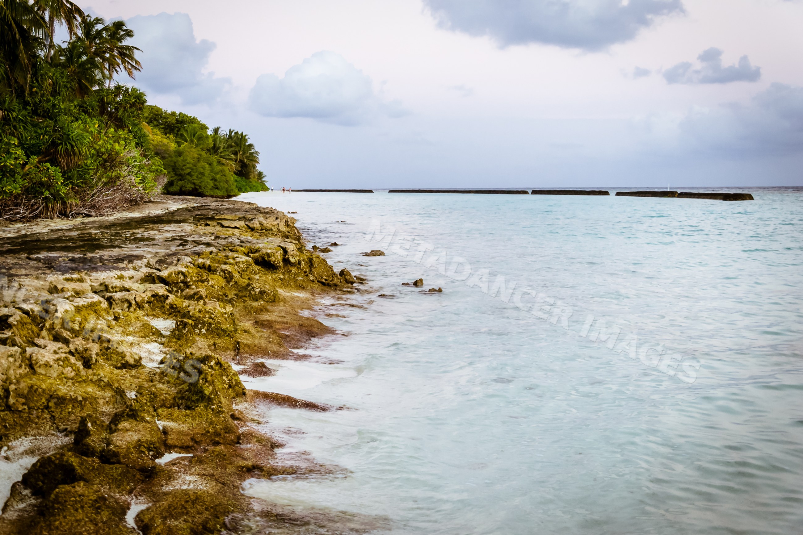 Rocky tropical shoreline with palm trees and calm ocean