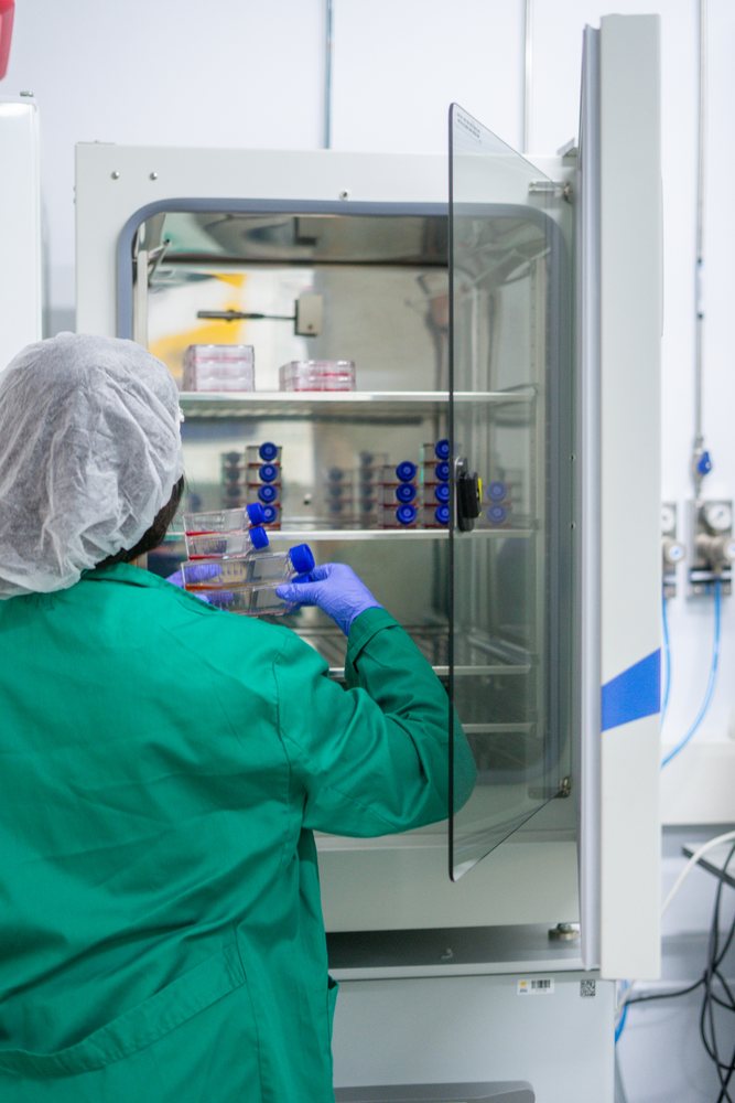 Scientist placing petri dishes into laboratory incubator in Seville