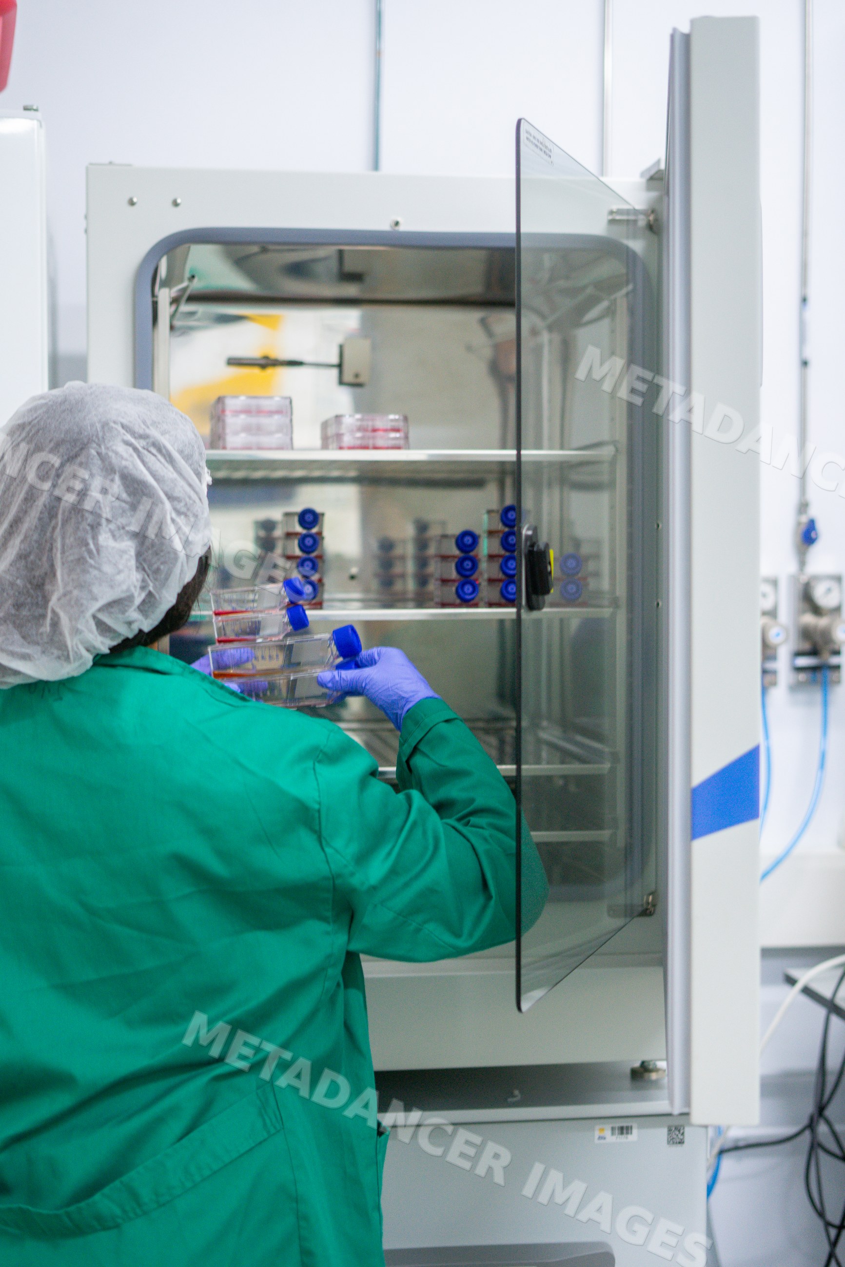 Scientist placing petri dishes into laboratory incubator in Seville