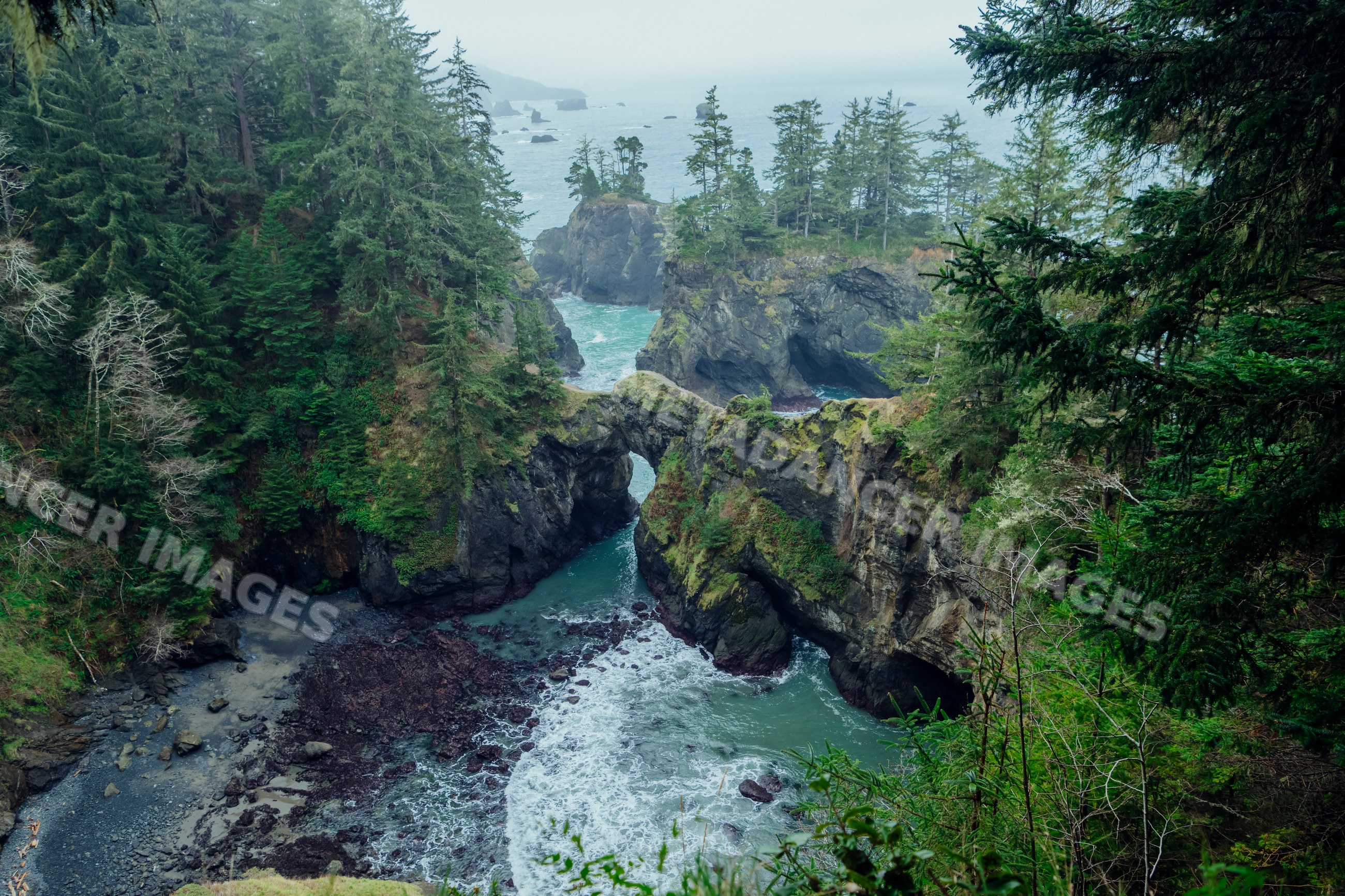 Coastal rock formations and forested cliffs Oregon