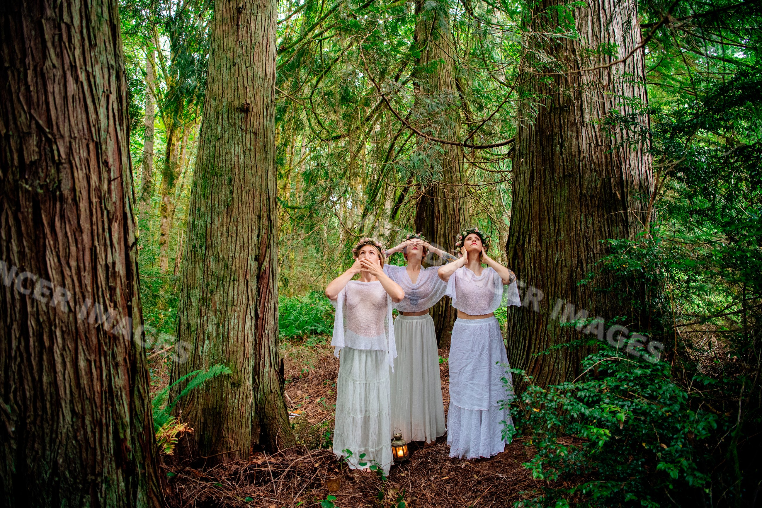 Three women in white attire with flower crowns in a forest