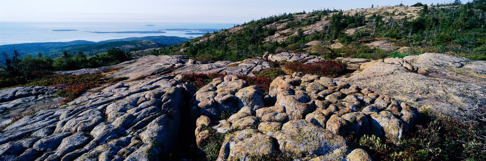 Rocky landscape with evergreen forest and ocean view on cadillac