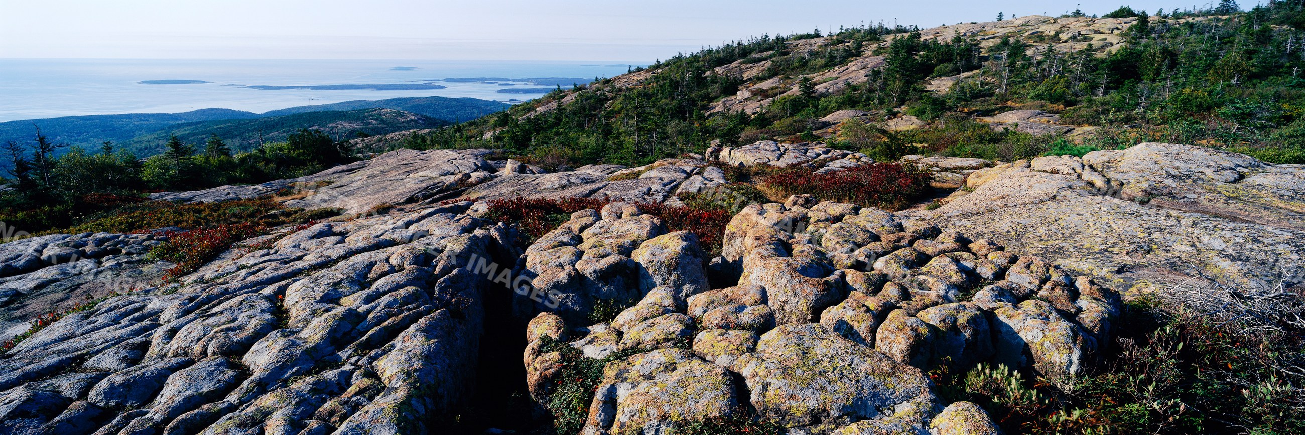 Rocky landscape with evergreen forest and ocean view on cadillac