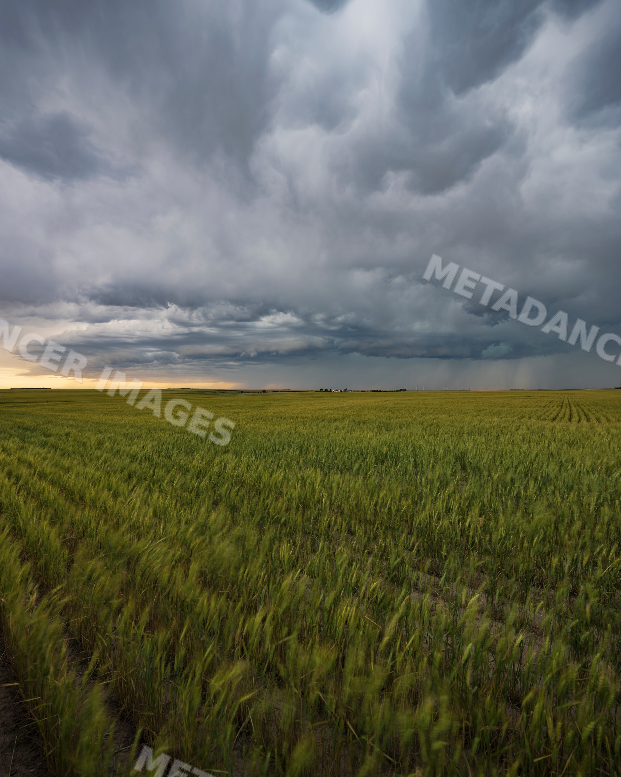 Storm cloud formation over Wheat Field in fleming, colorado