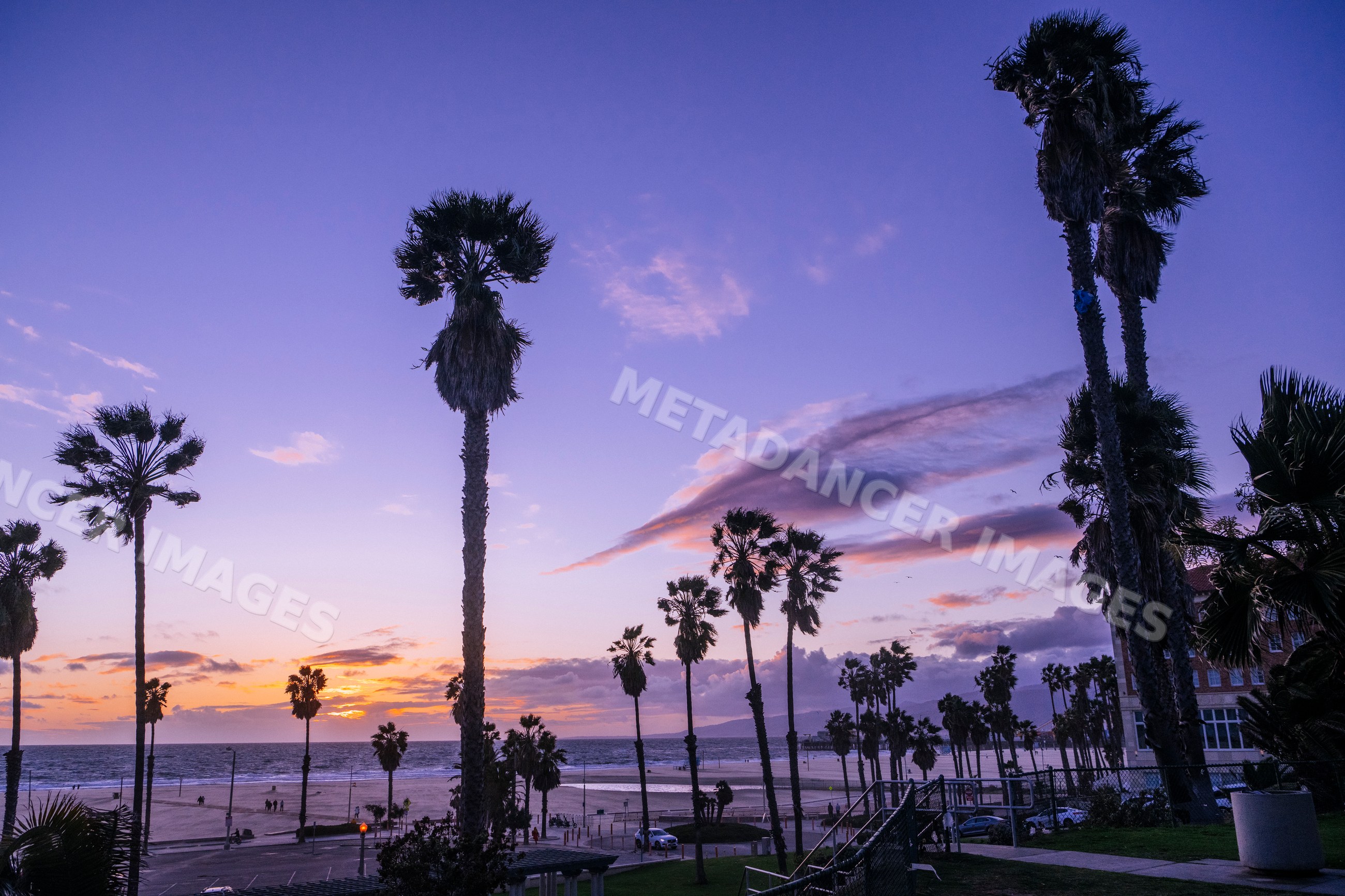 Sunset over Venice Beach palm trees and ocean shoreline in california