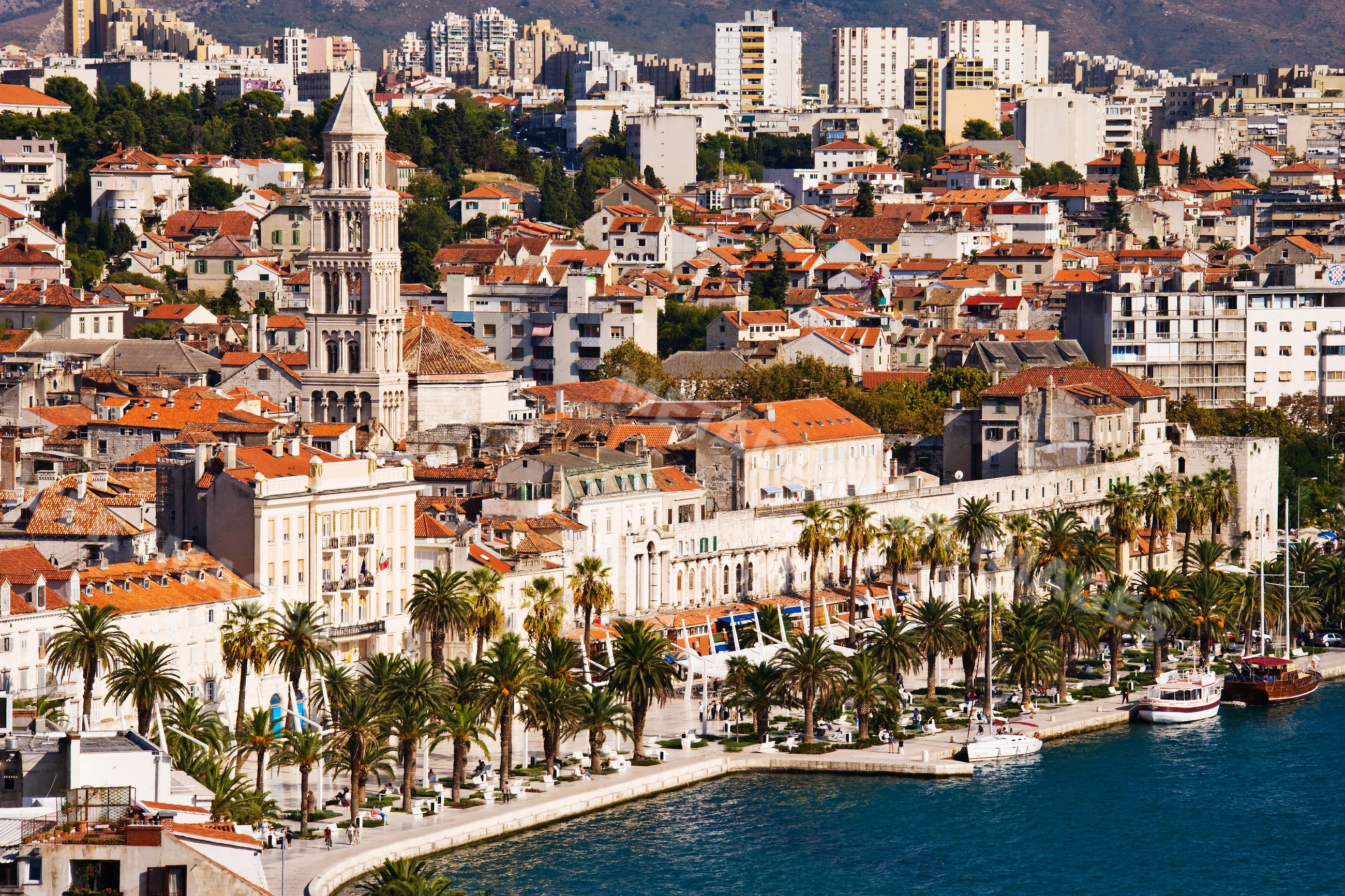 Waterfront view of historic split with cathedral tower and palm trees