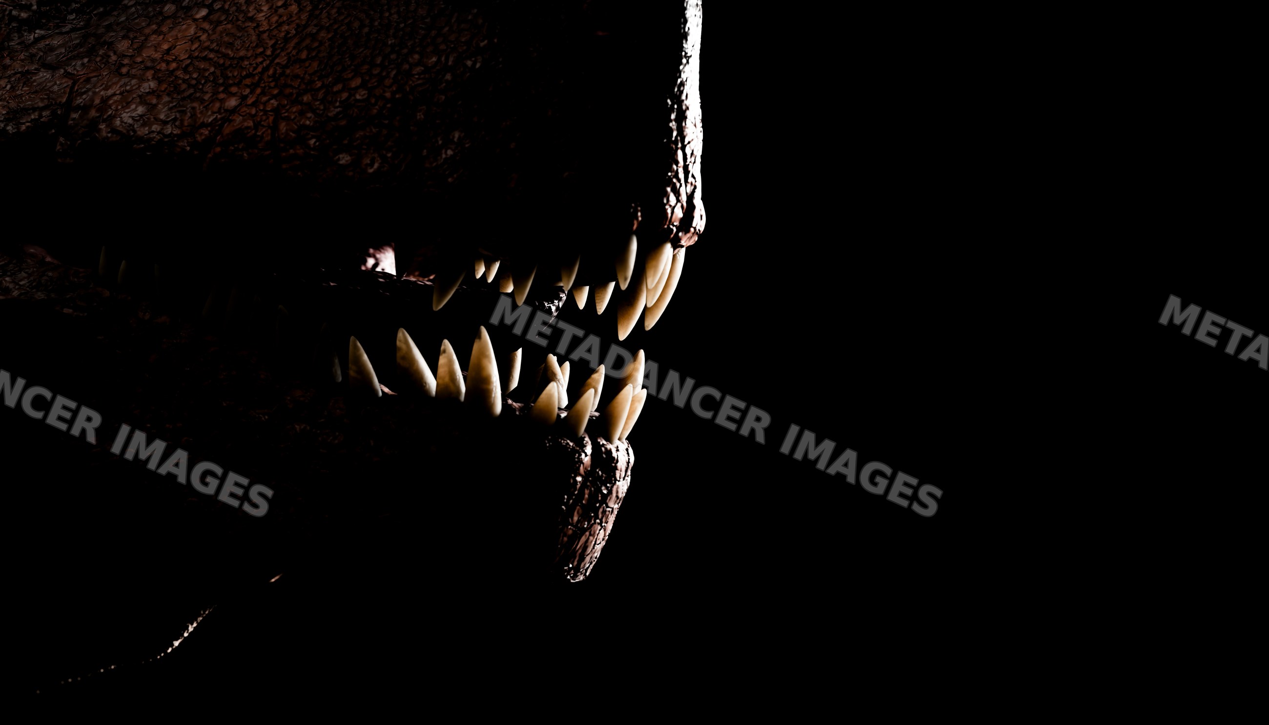 Close-up of a T-Rex mouth showing sharp teeth in the dark