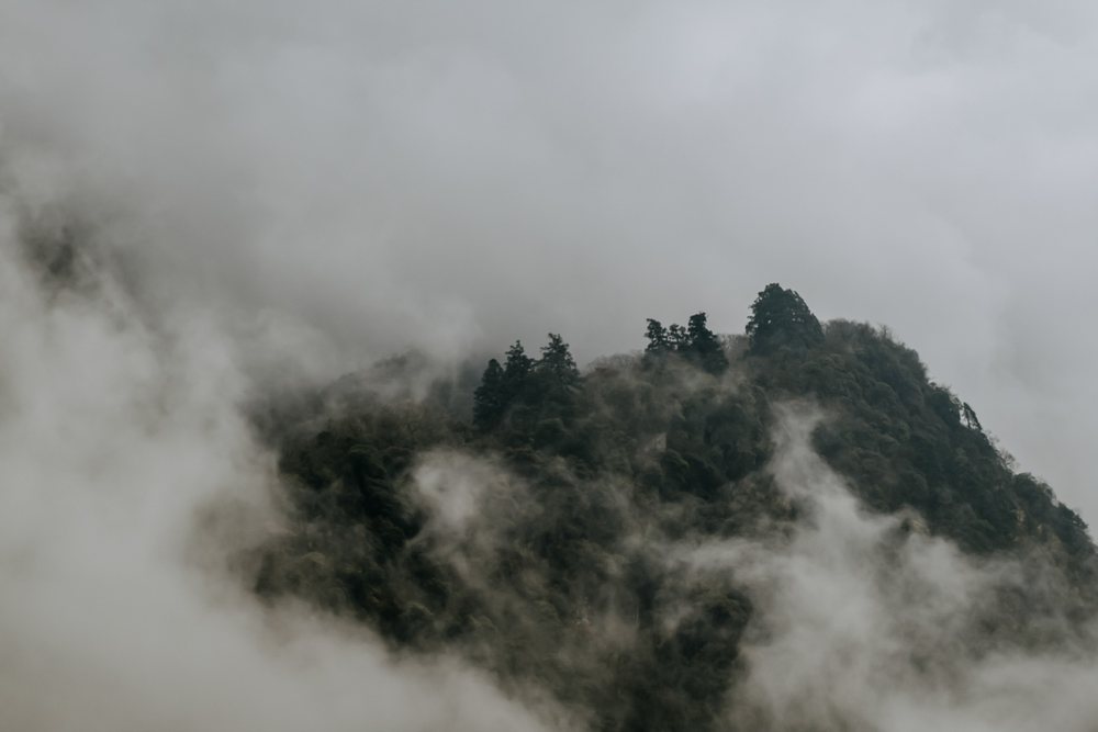 Mountain peak enveloped in fog with dense forest
