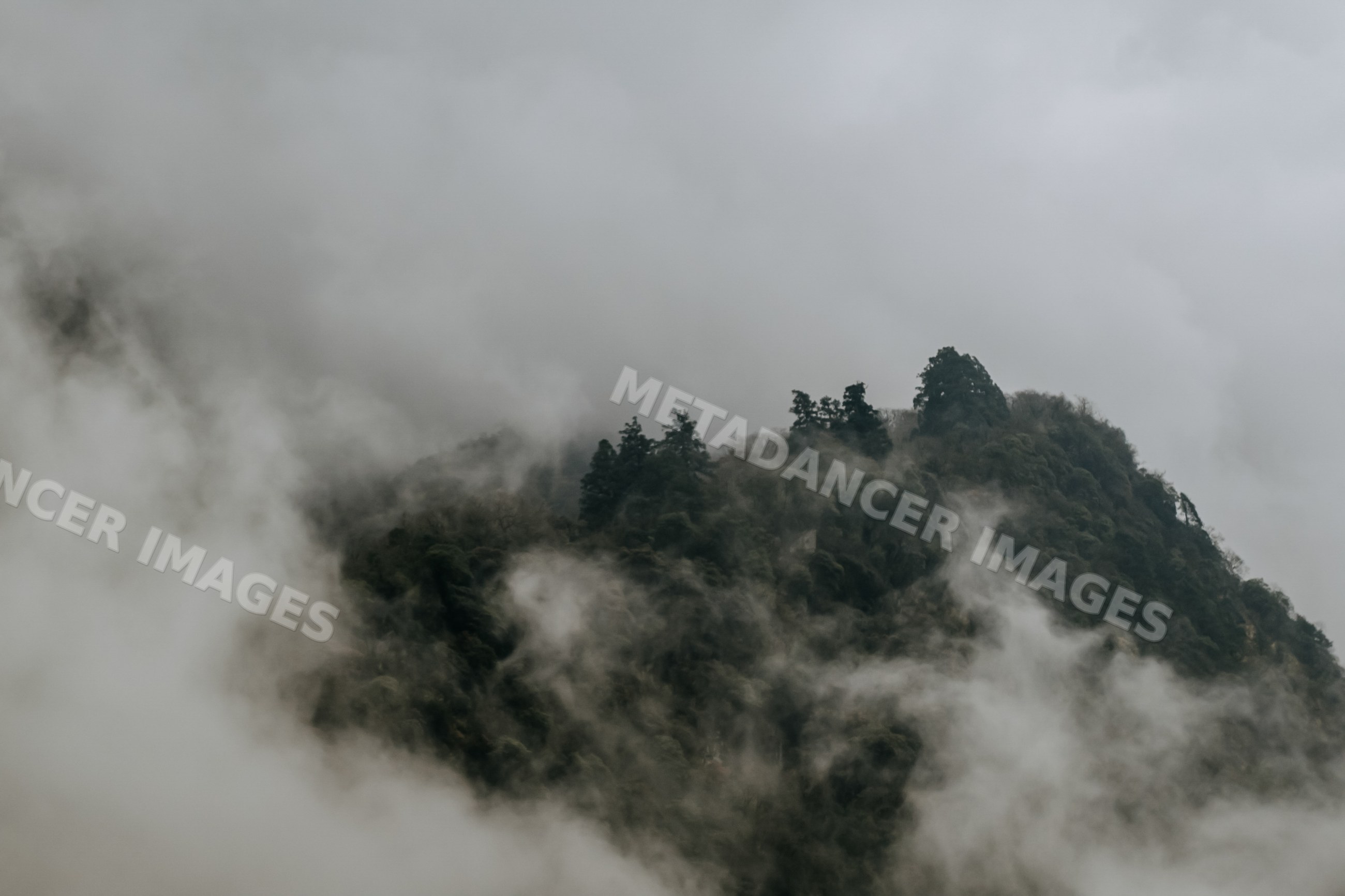 Mountain peak enveloped in fog with dense forest