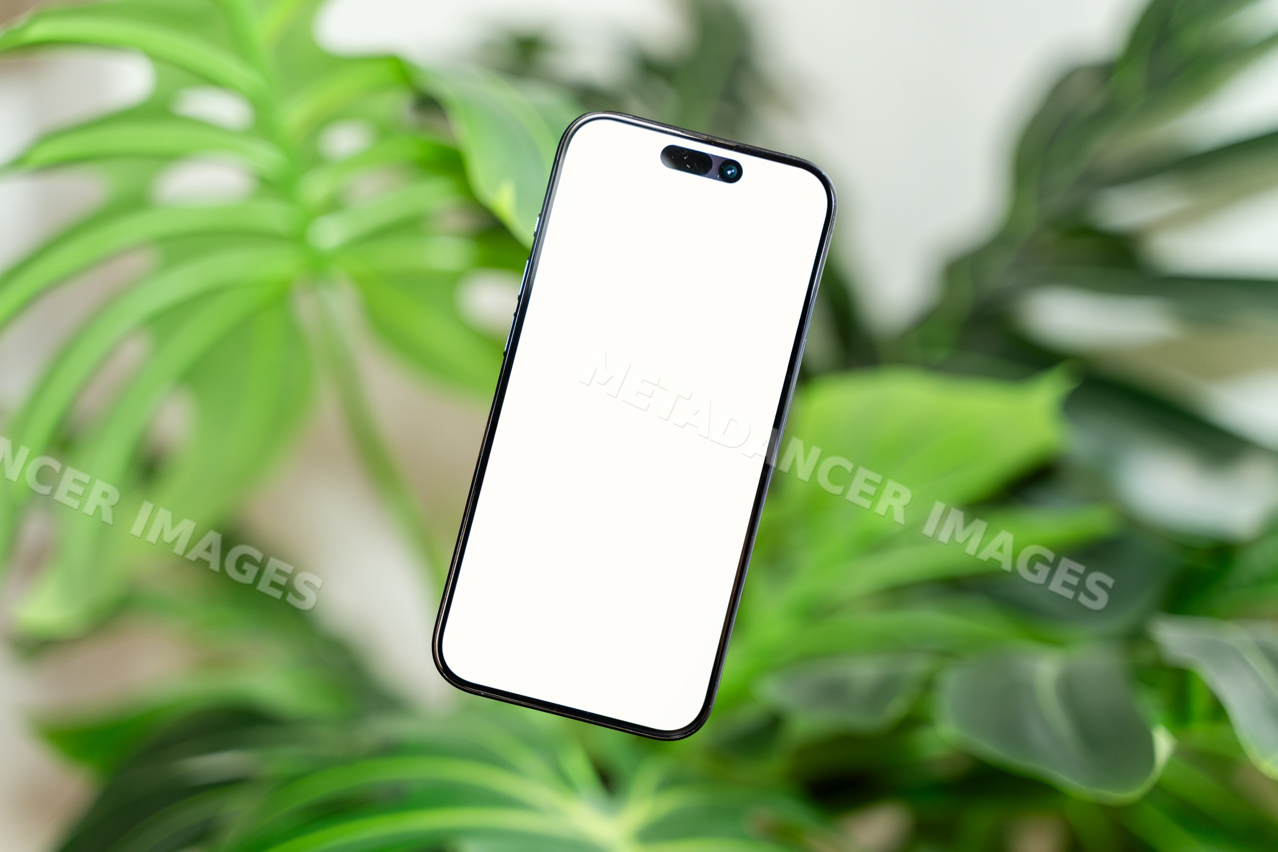 Smartphone with blank white screen against leafy plant background