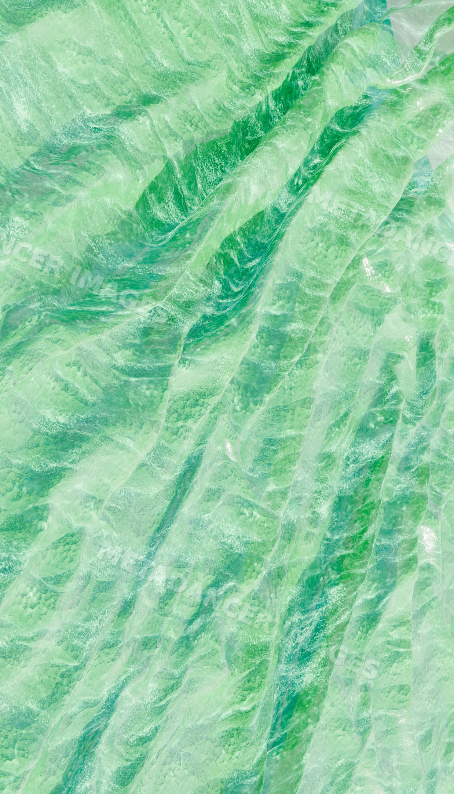Close-up photo revealing the textured surface of a green leaf