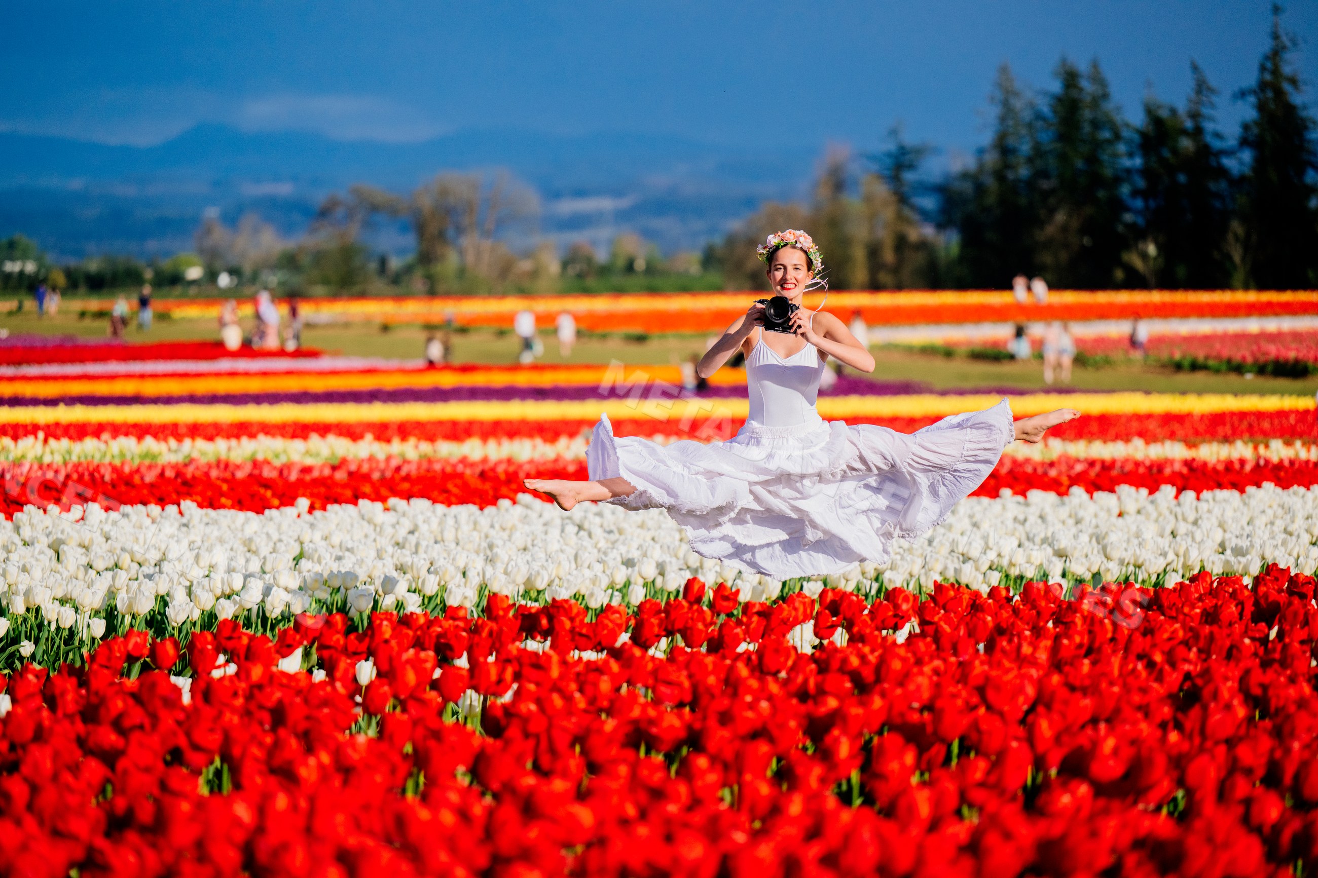 Ballet white dancer leaping in colorful tulip field with camera