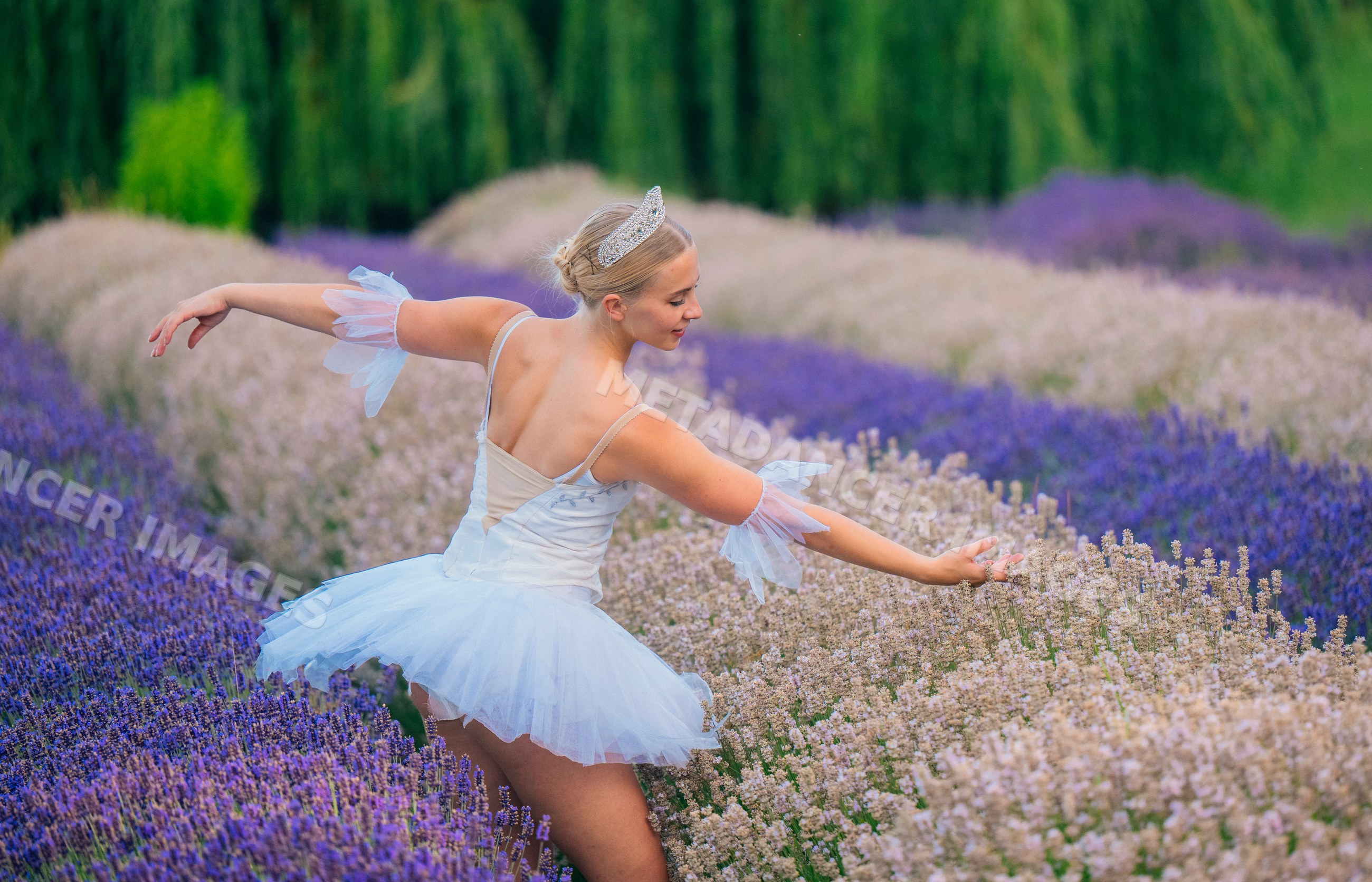 A ballerina dances gracefully in a lavender flower field in WA, USA