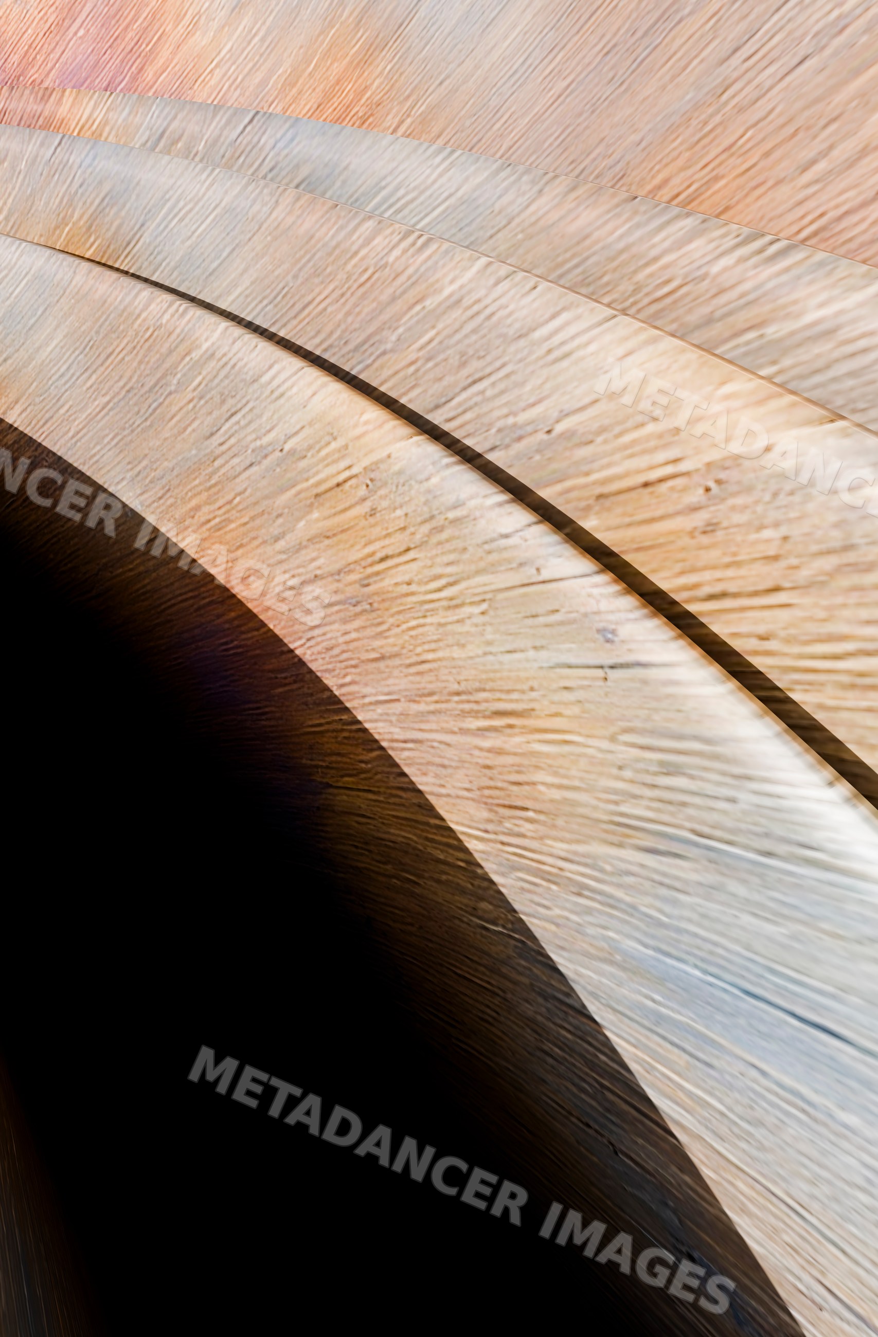 Curved wooden architectural detail with visible wood grain texture