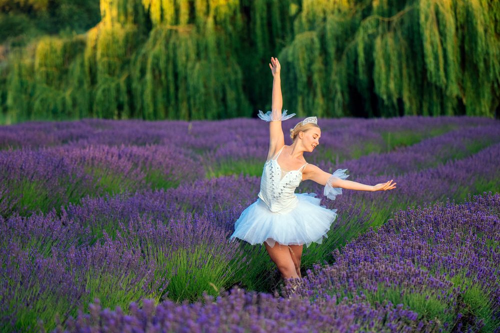 A ballerina dances gracefully in a lavender field in wa USA