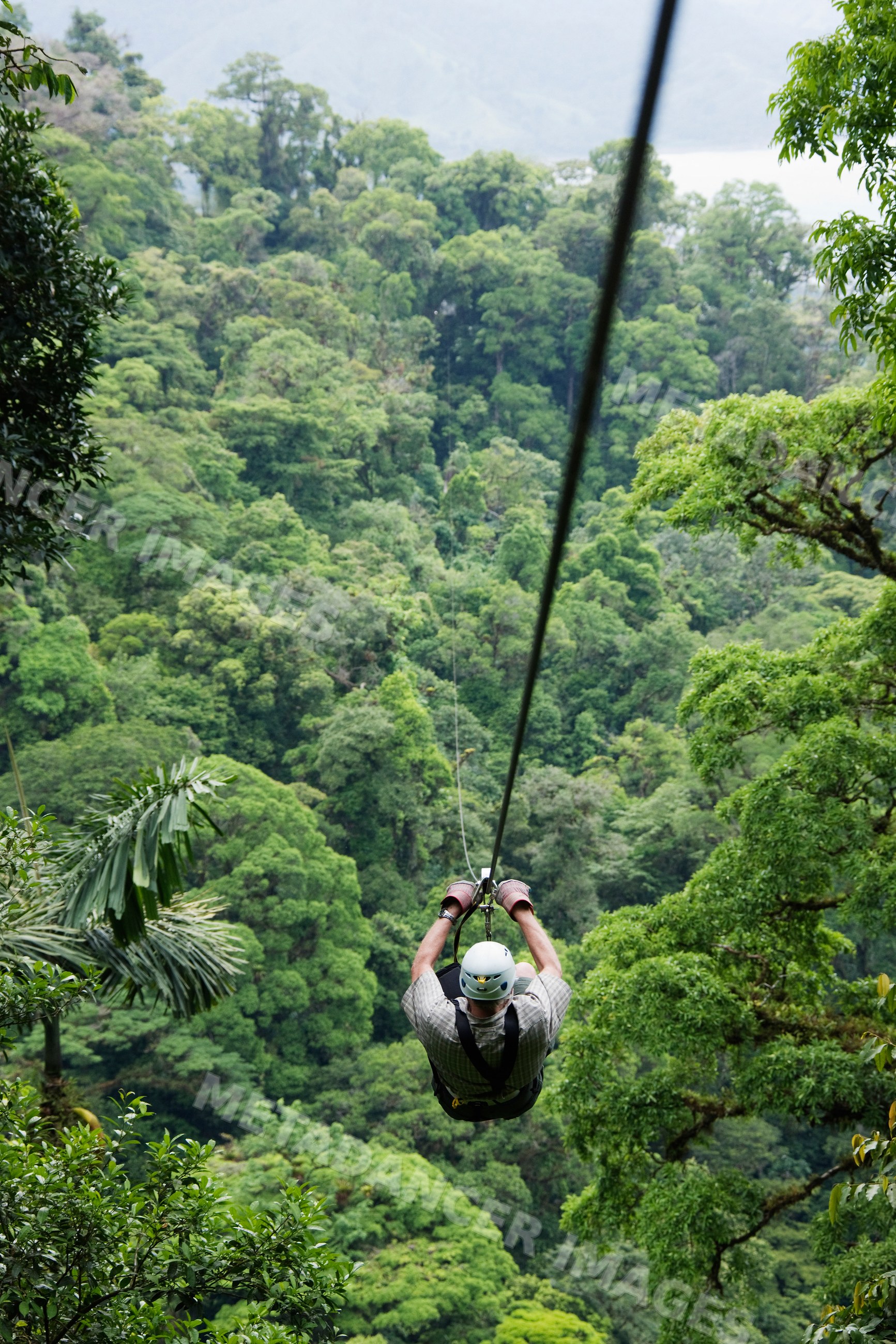 Person zip lining over tropical forest canopy in costa rica