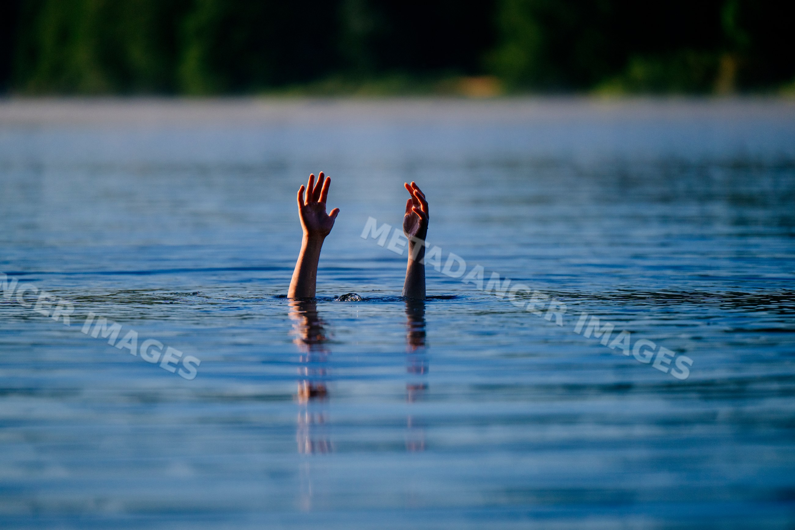 Hands raised above water surface signaling distress in a lake