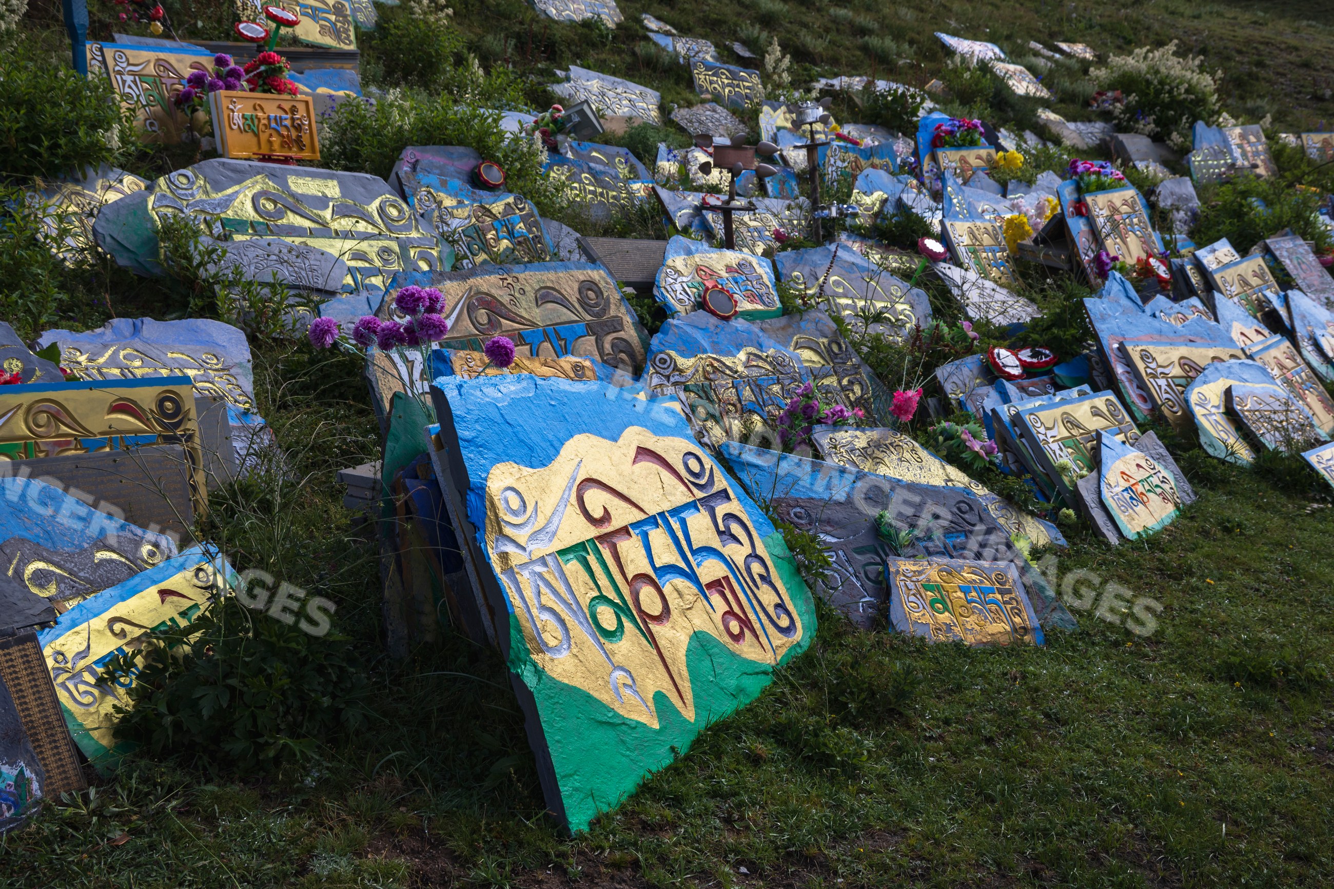 Painted Mani Stones with tibetan script on a grassy hill slope