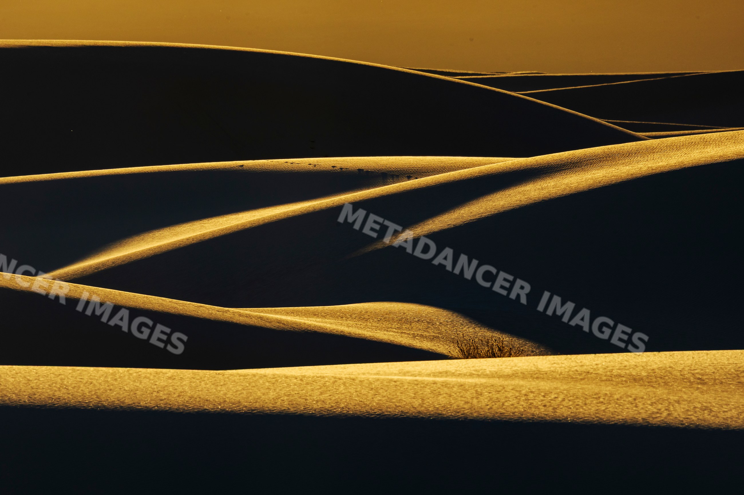 Sand dunes illuminated by Sunset