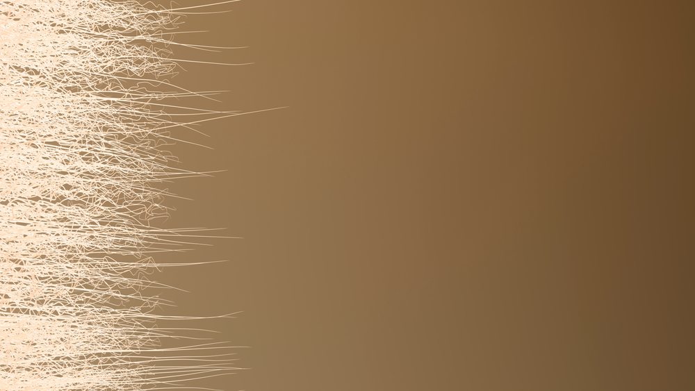 Abstract beige line pattern on brown background digital art