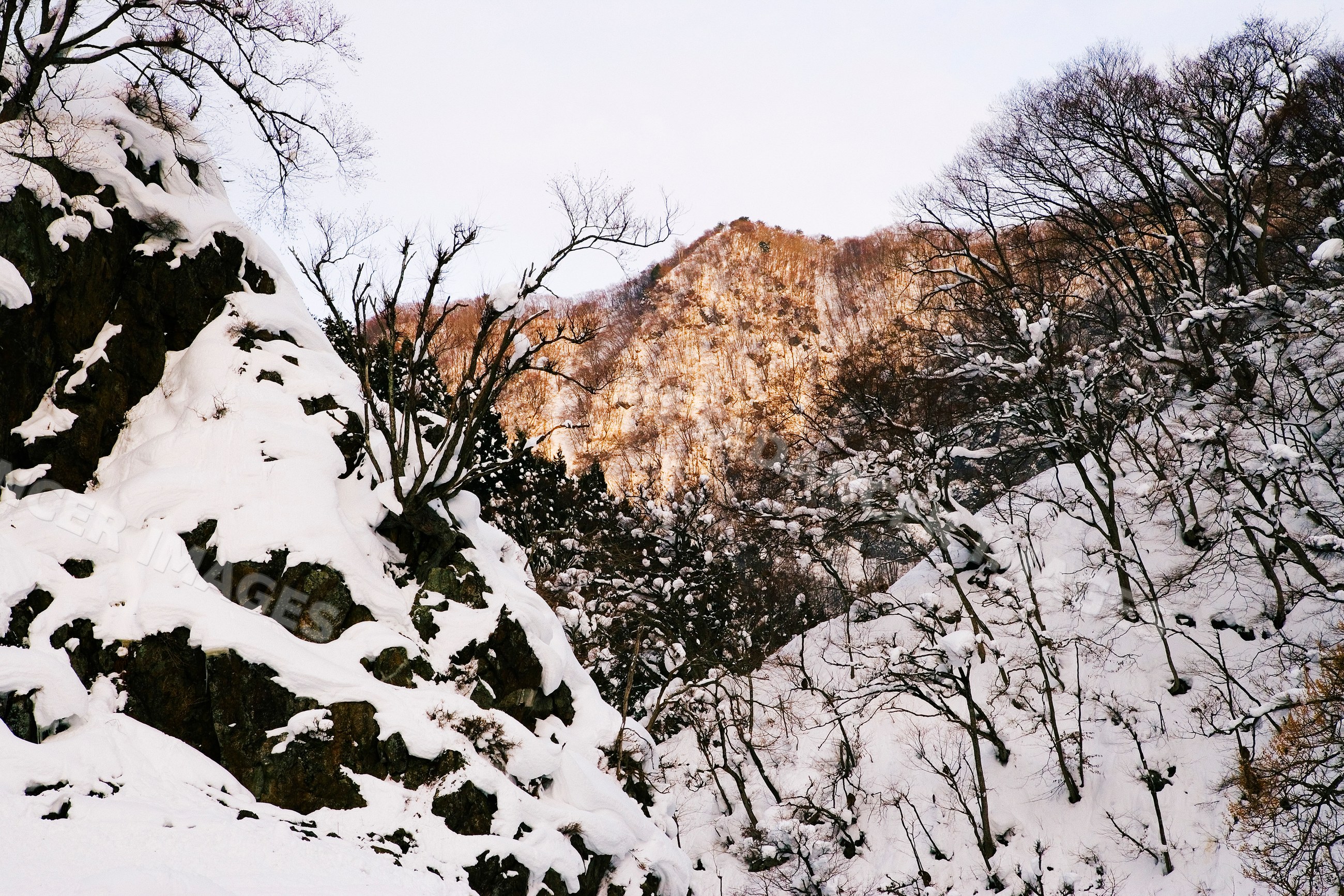 Snow-covered mountains with trees, japan