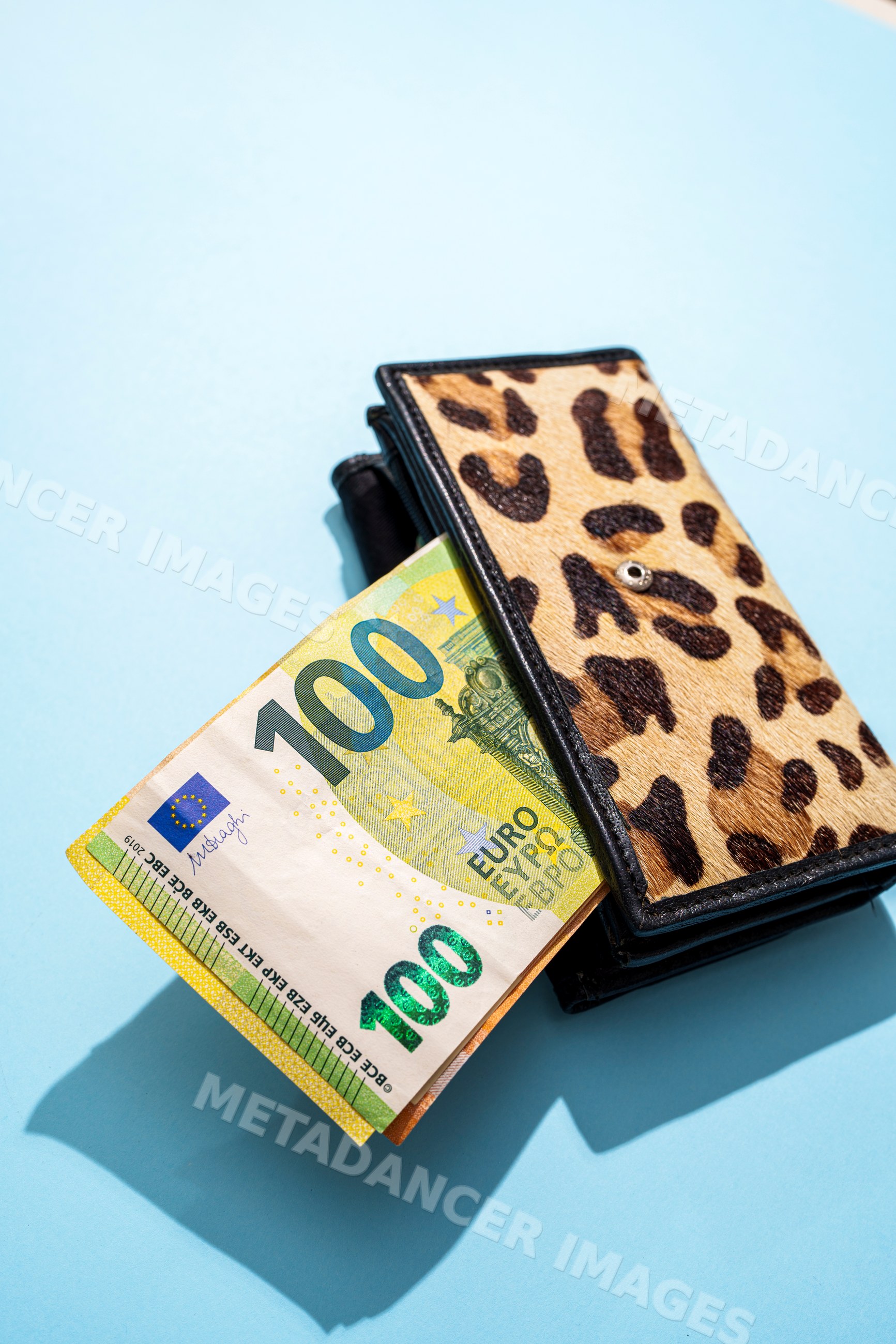 Leopard print wallet holding 100 euro bill