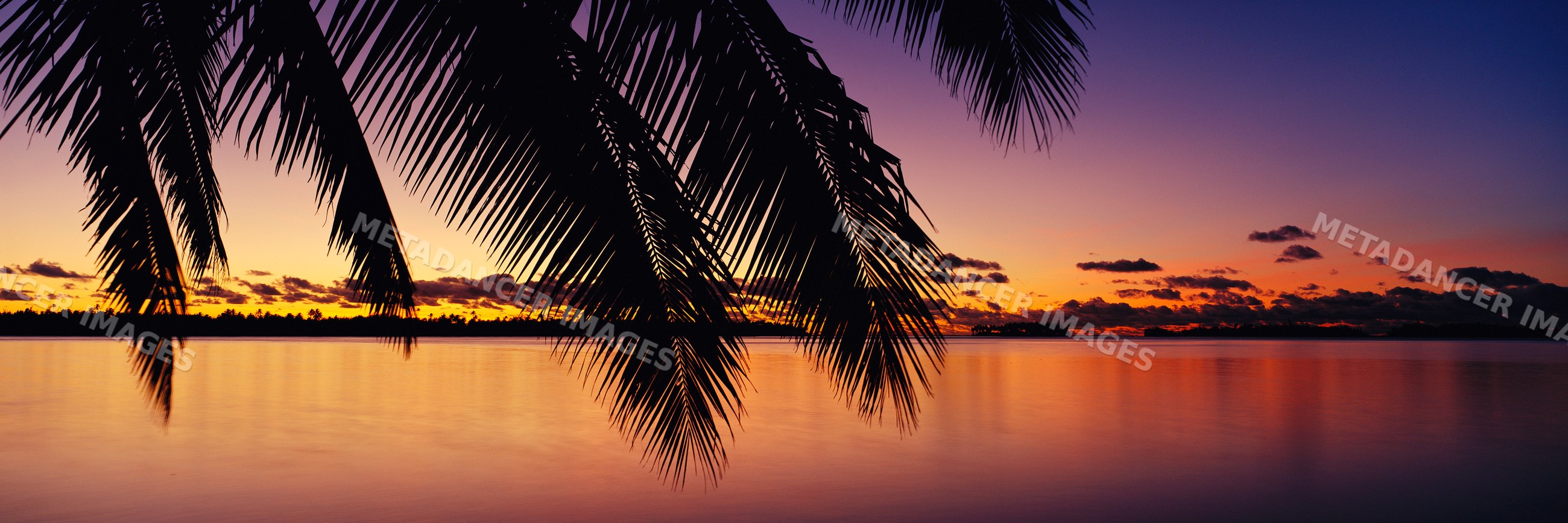 Sunset over tropical waters with palm leaves polynesia
