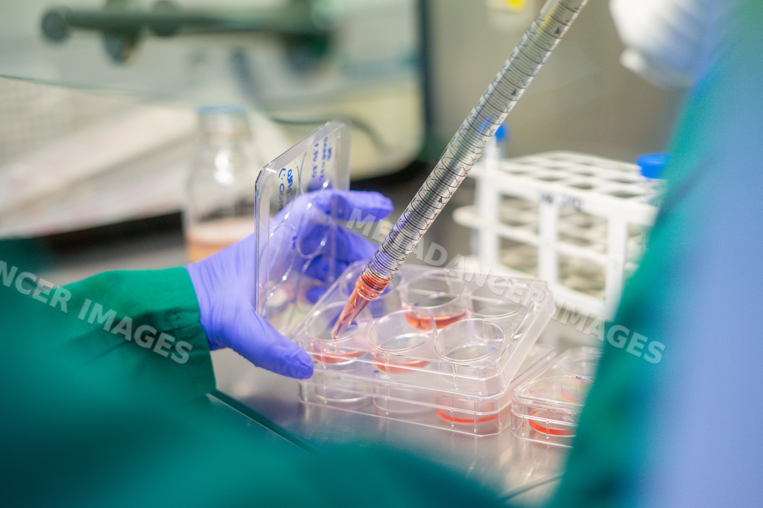 Scientist pipetting liquid into multiwell plate in laboratory research