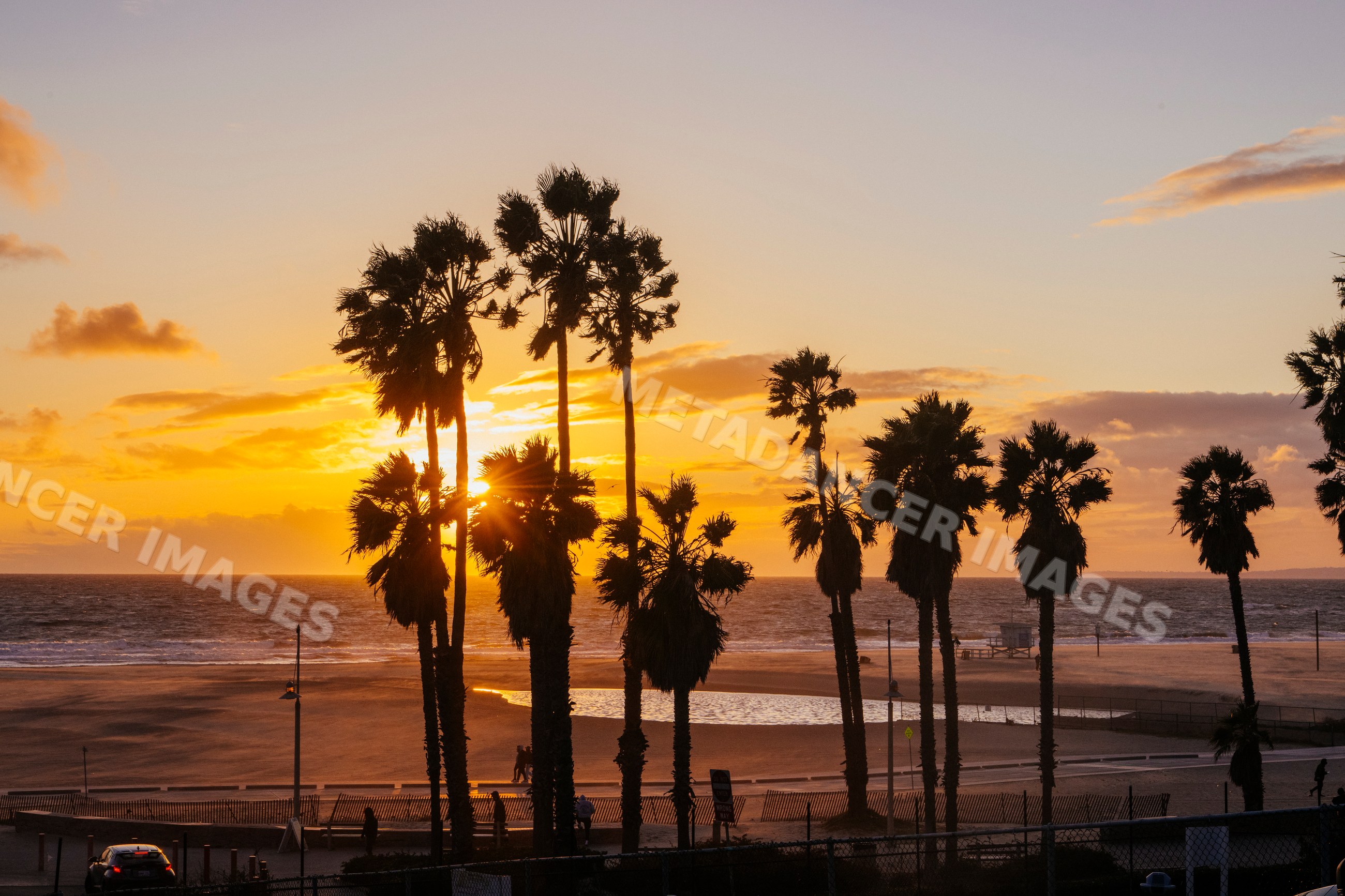 Sunset silhouetting palm trees along Venice Beach california