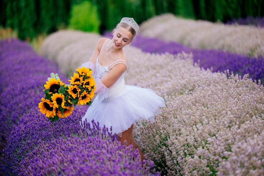 A ballerina in a white tutu holding sunflowers in a lavender field