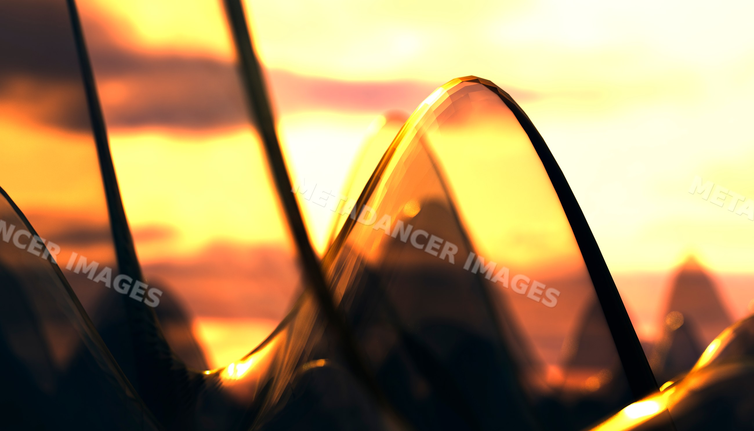 Glass sculpture with abstract curves lit by golden sunset light