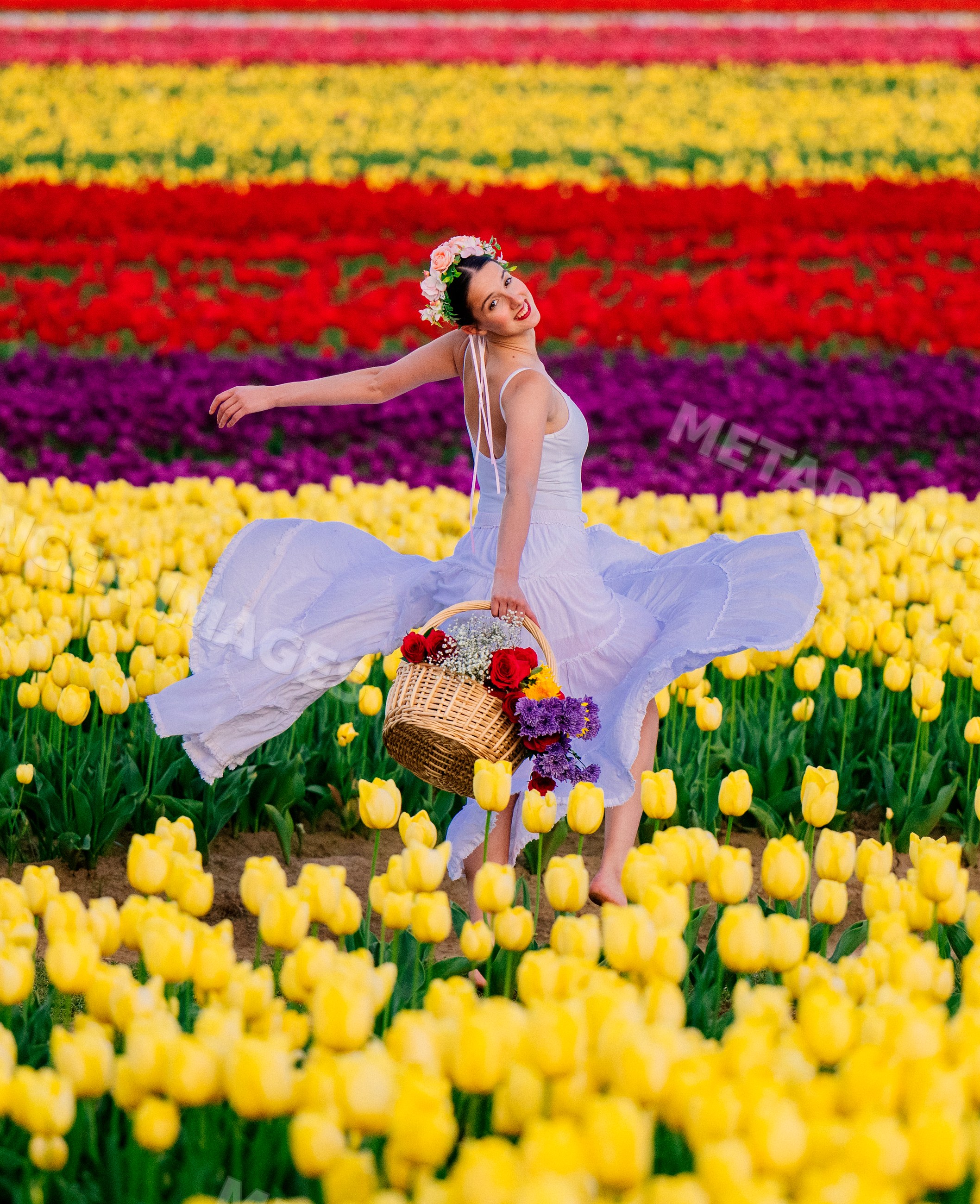 Ballet dancer twirling in white dress with basket of flowers in tulip