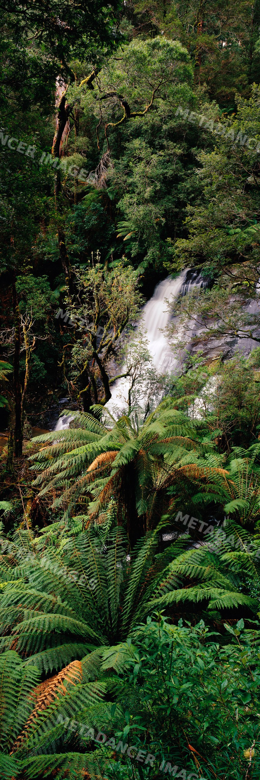 Triplet falls waterfall surrounded by verdant forest