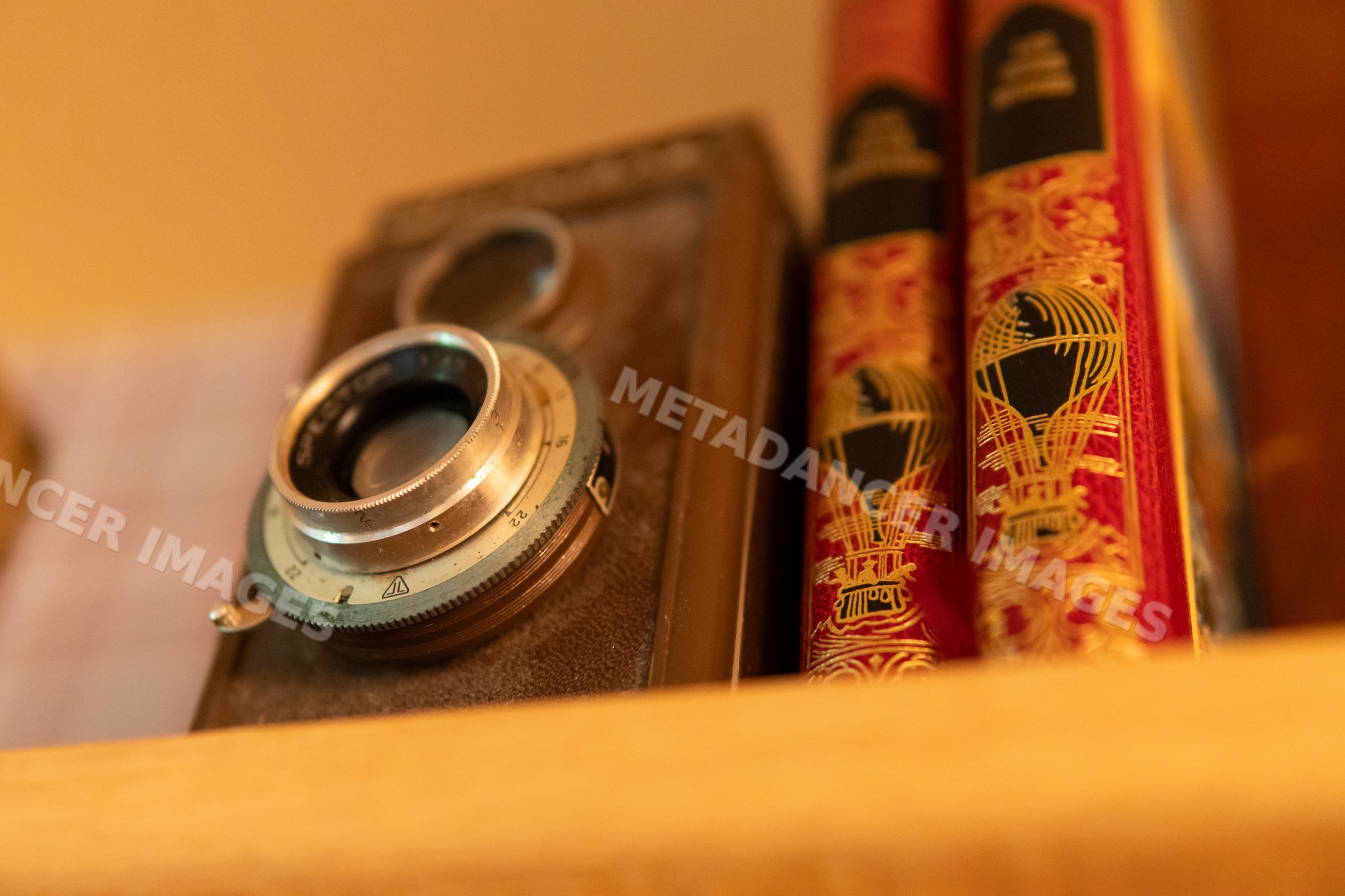 A vintage camera and decorative books displayed on a wooden shelf